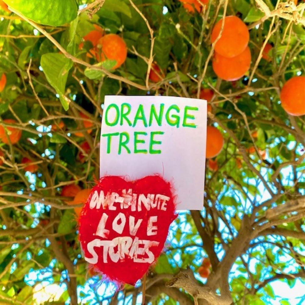 Orange Tree