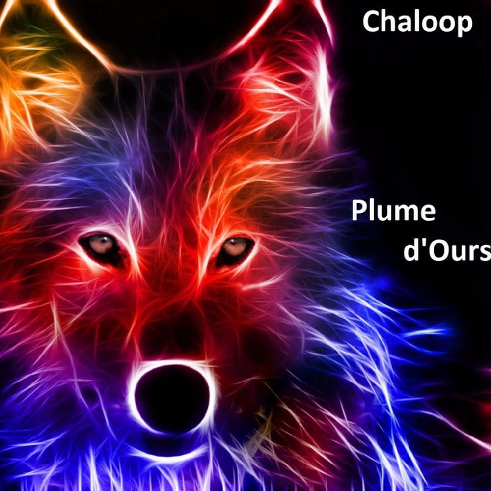 Plume d'ours