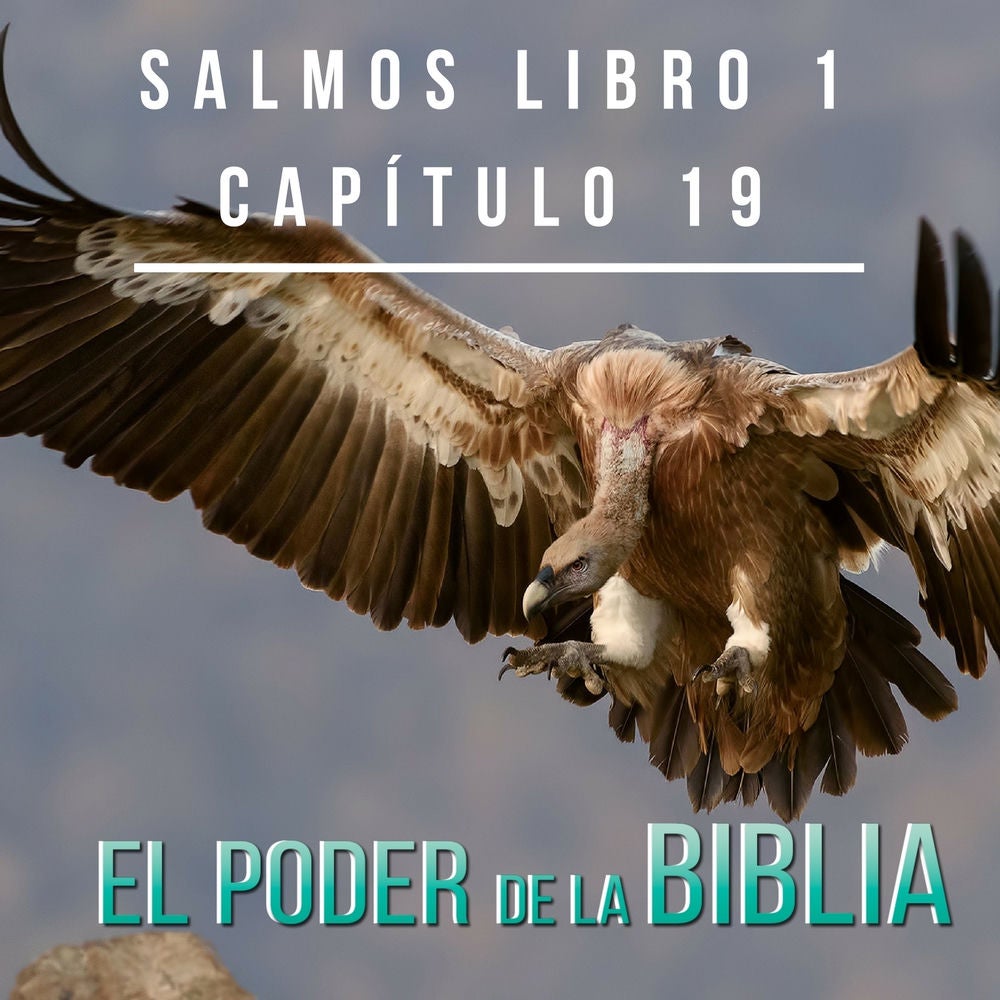 Salmos Libro 1 Capítulo 19