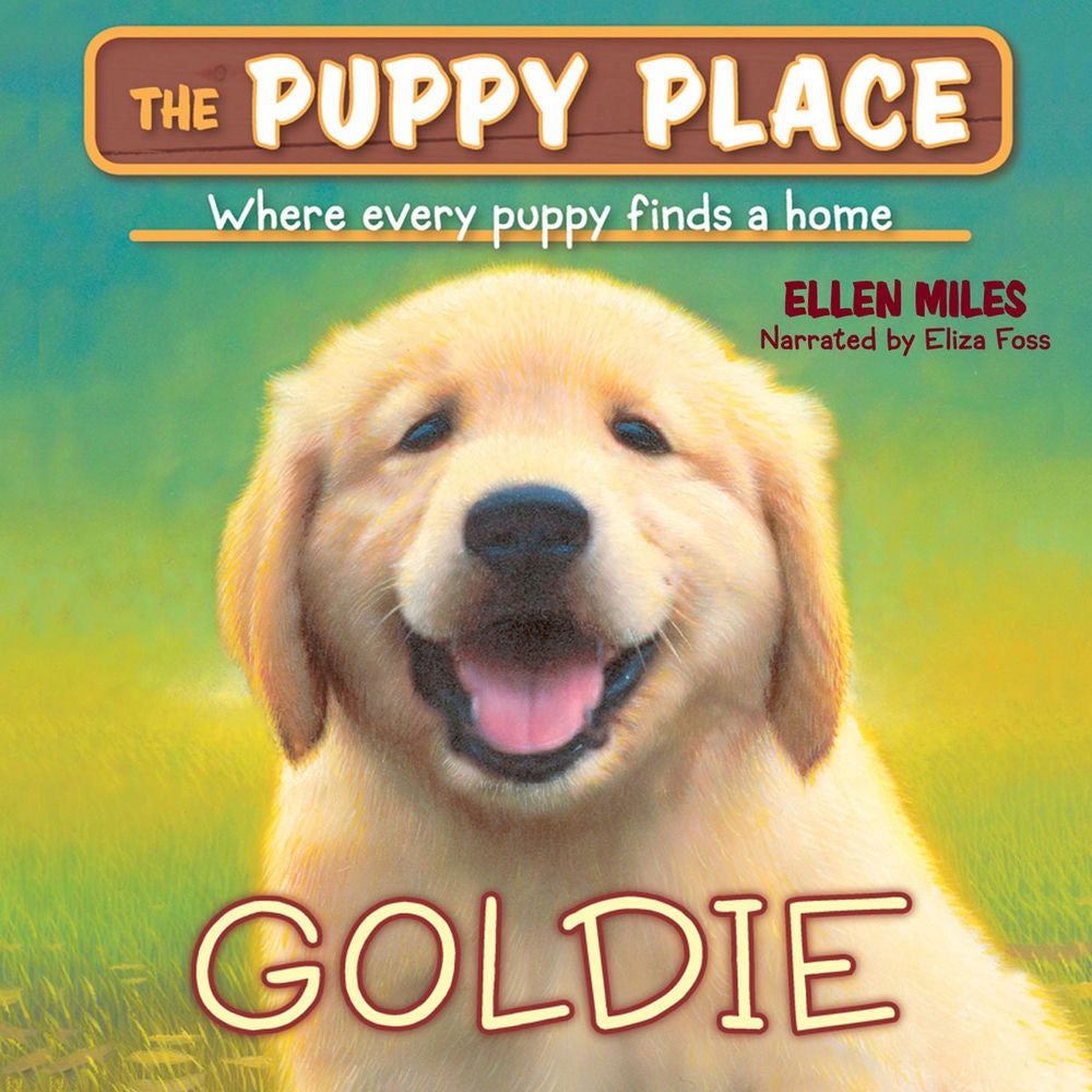 Goldie - Puppy Place 1