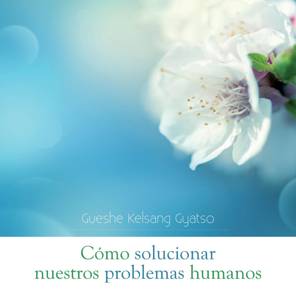 Cómo solucionar nuestros problemas humanos