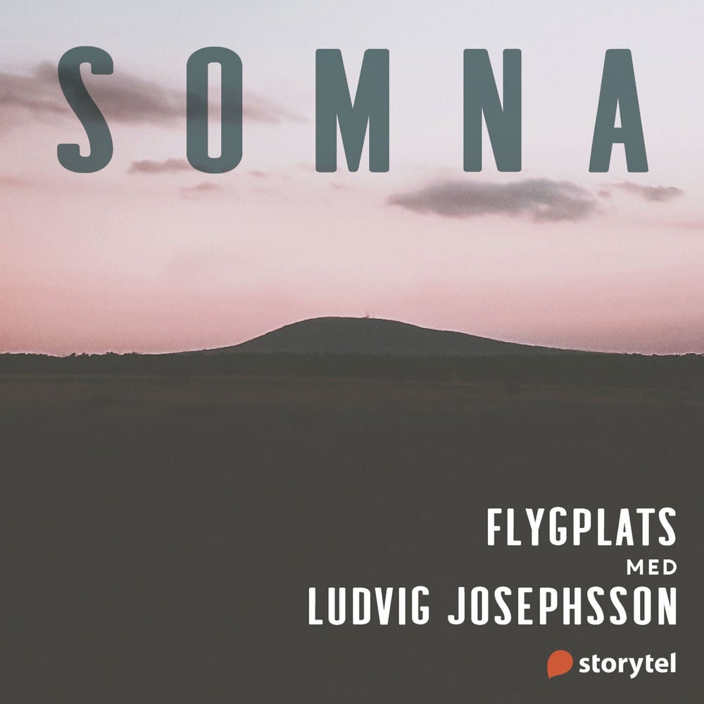 Flygplats