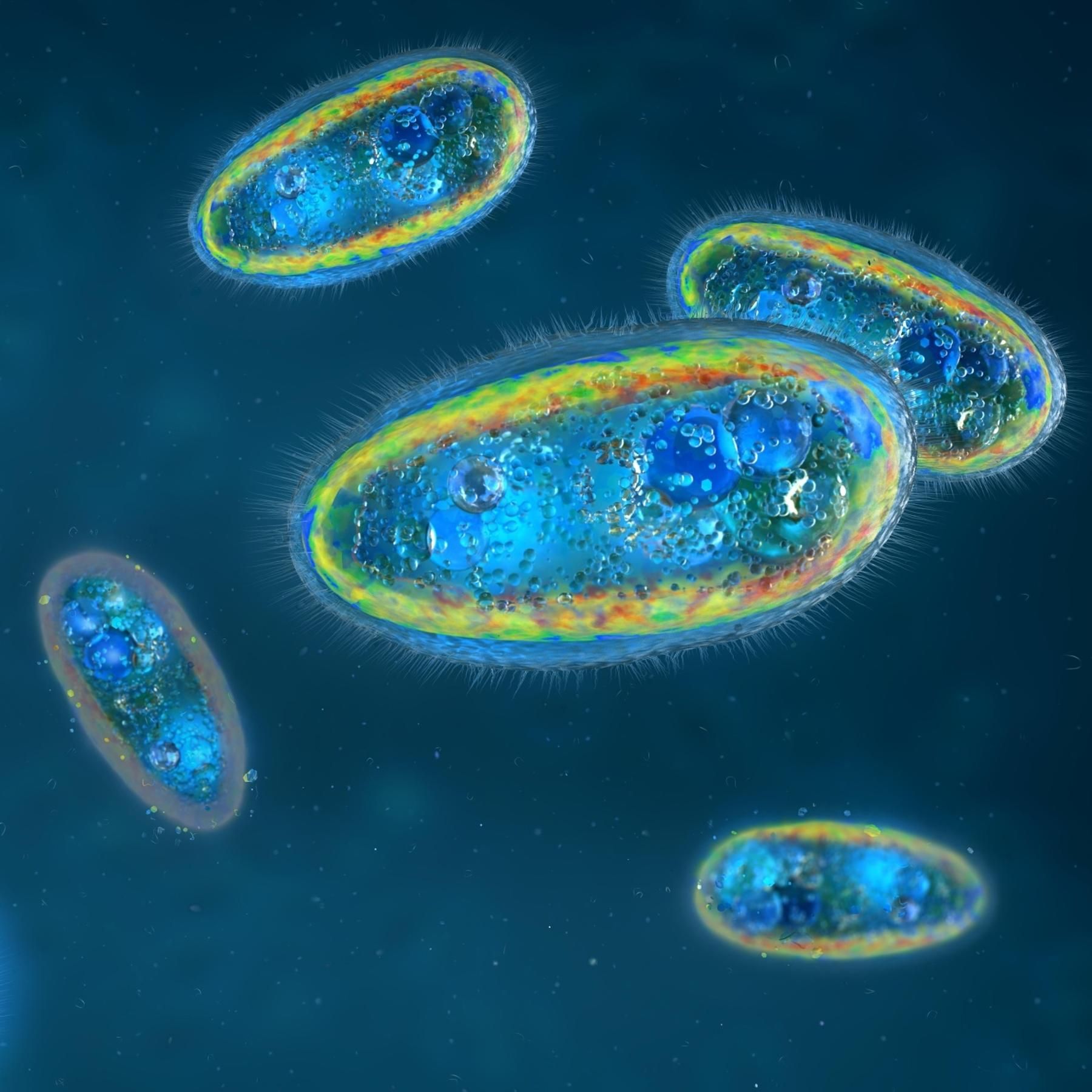 Der Nutzen von Parasiten – Wie sie die Evolution voranbringen