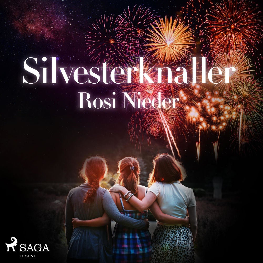 Silvesterknaller - Vulkanausbruch in der Eifel 2010/11 (Ungekürzt)