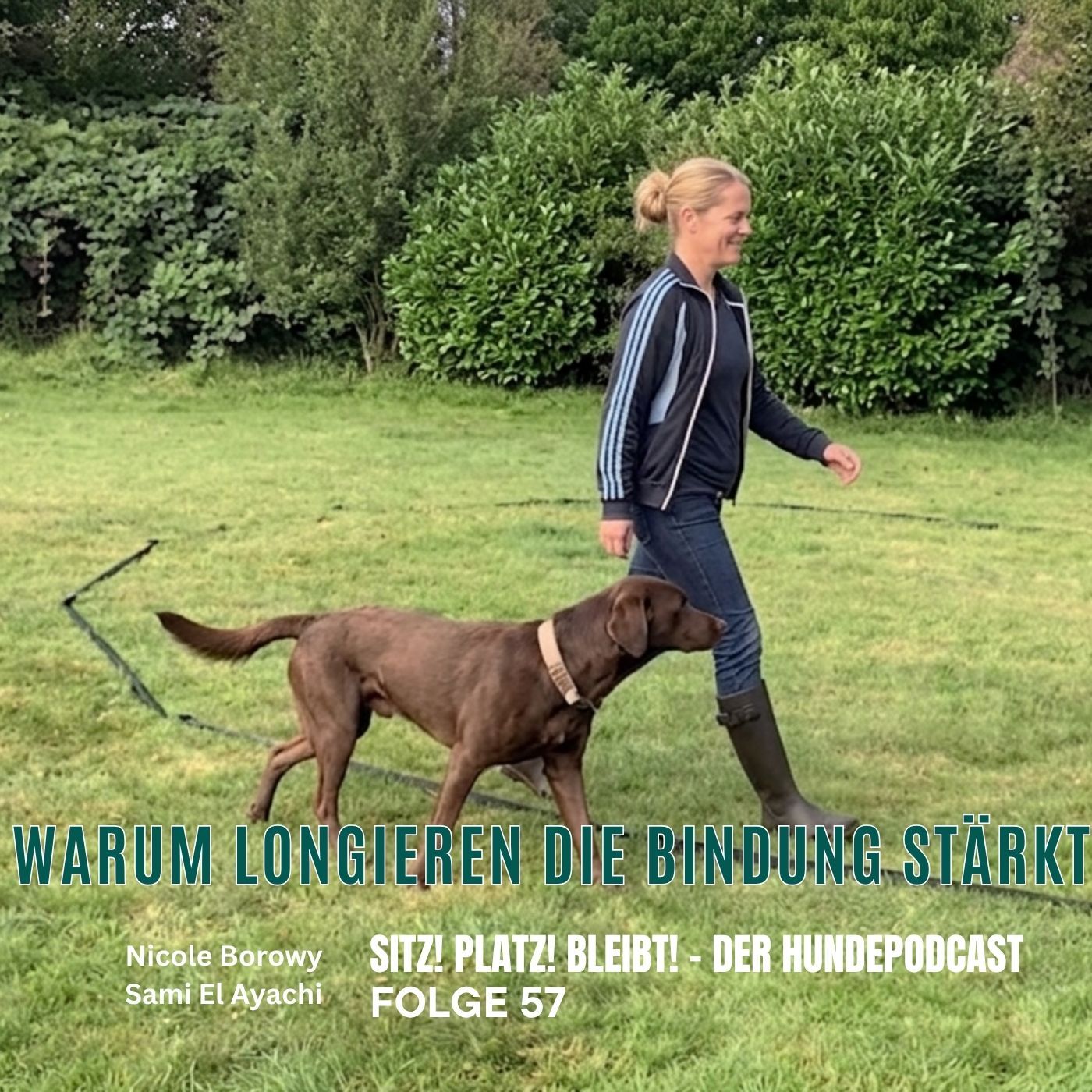 #57 Harmonie am Kreis - Wie Longieren die Bindung stärkt