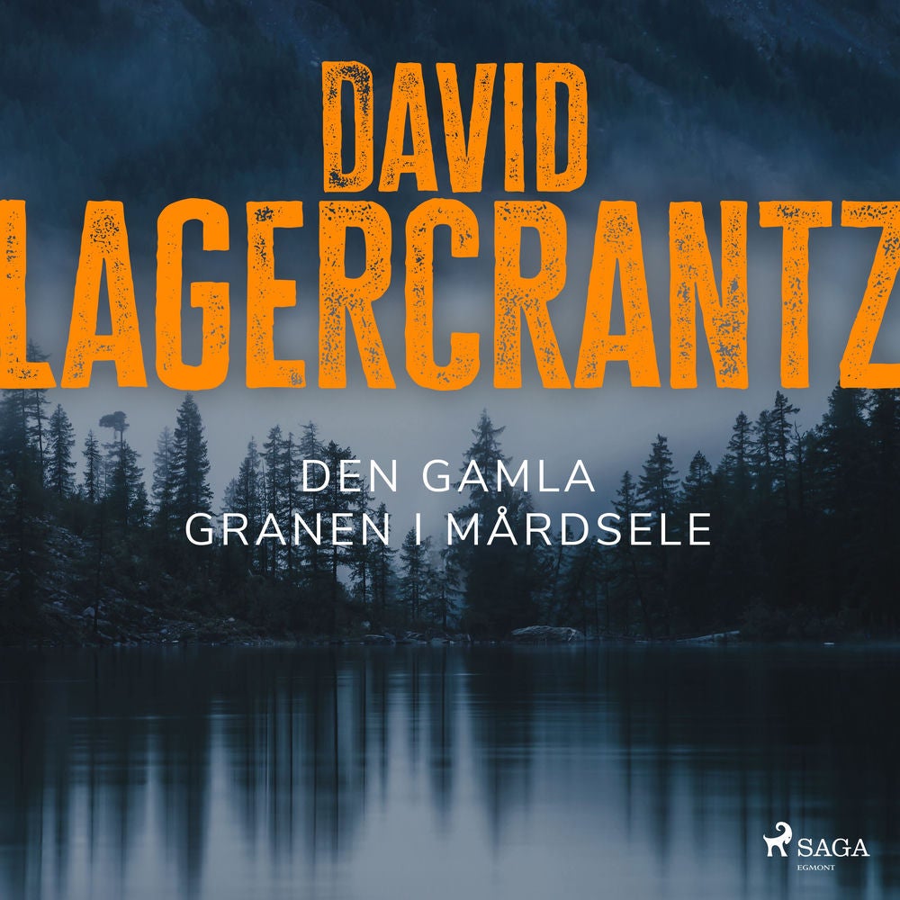 Den gamla granen i Mårdsele