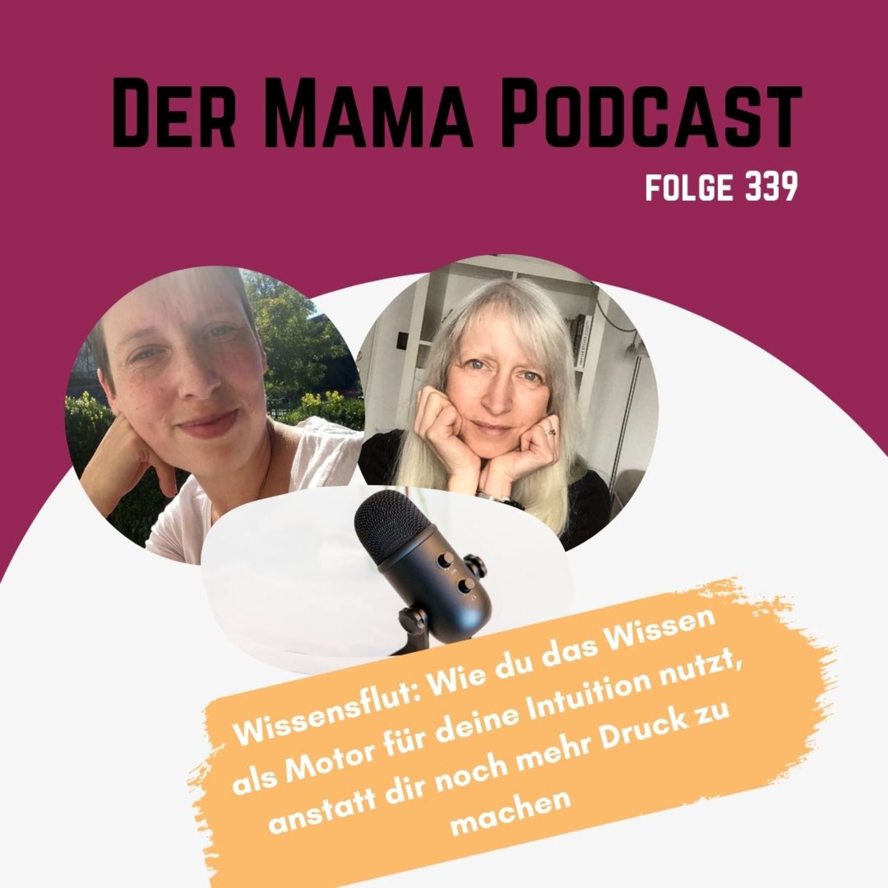 339 - Wissen ist nicht die Autorität