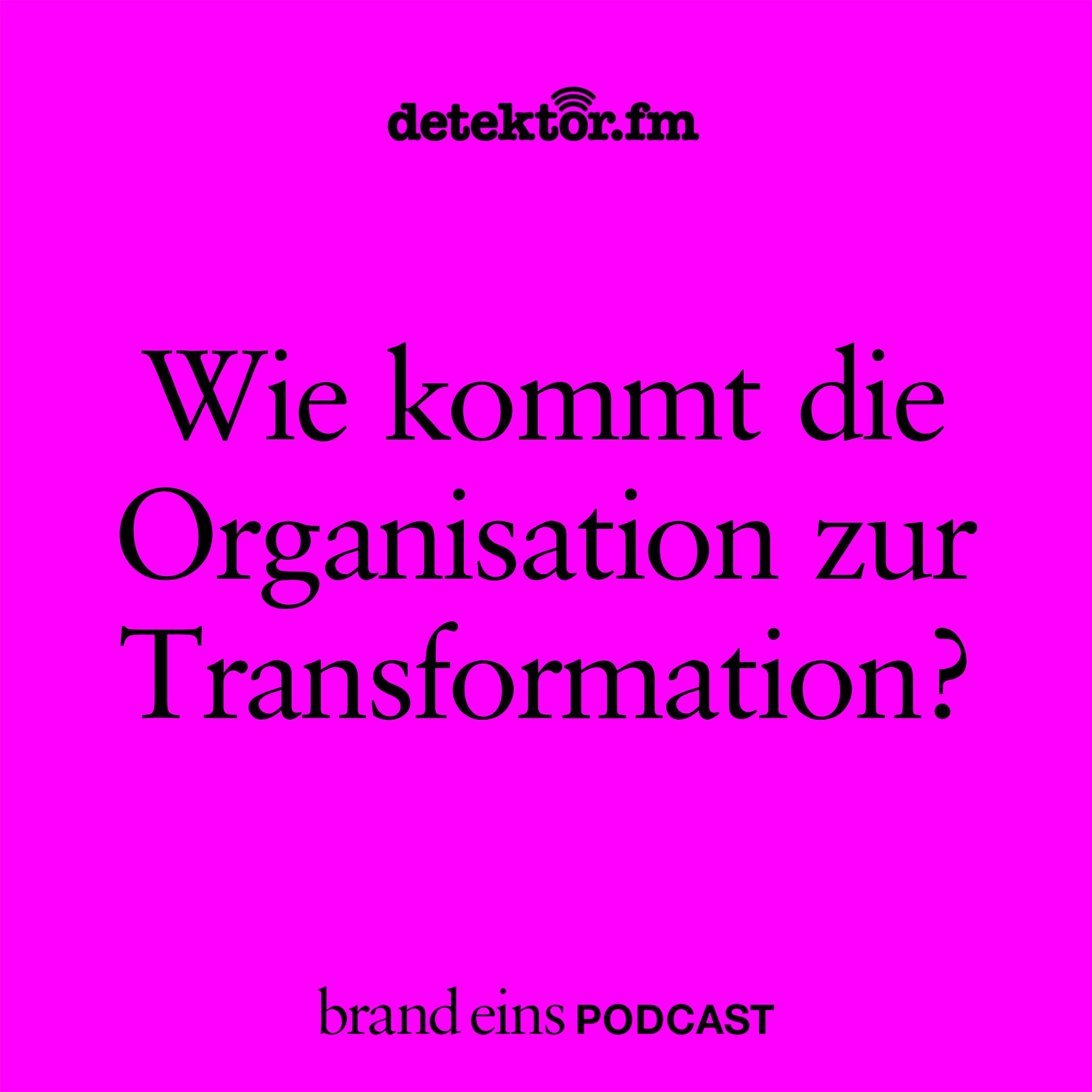 Wie kommt die Organisation zur Transformation?