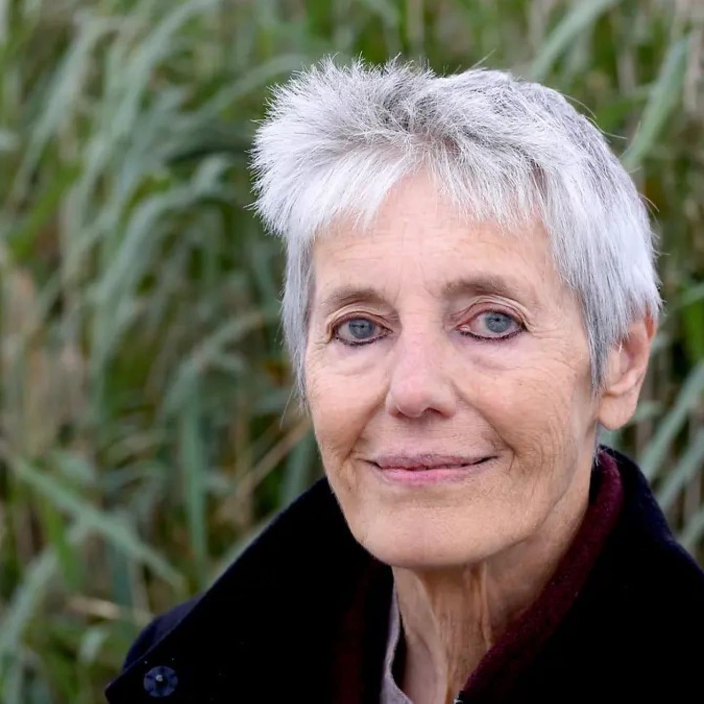 Literatur als Lebensratgeber - Petra Morsbachs „Orion“