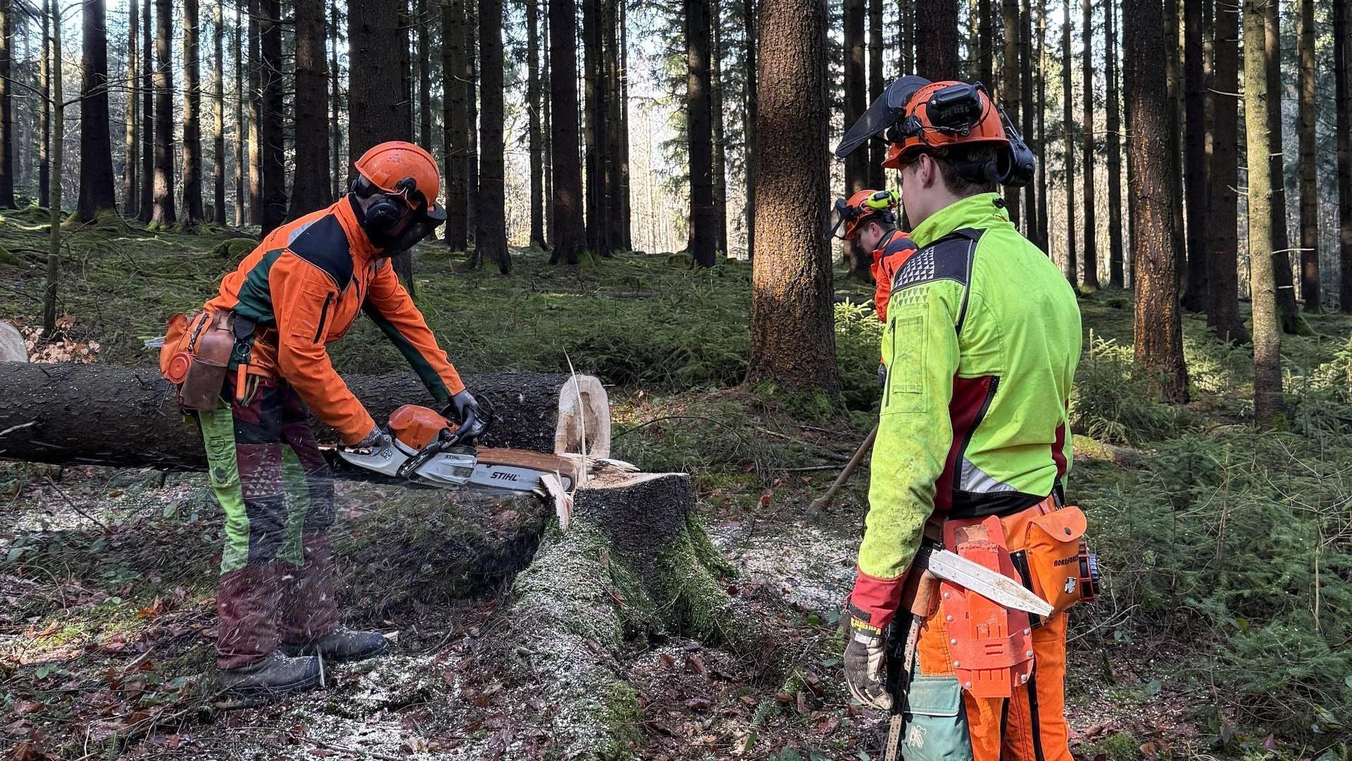 Unser Wald, ihr Job - Wenn Holzfällen zur Berufung wird