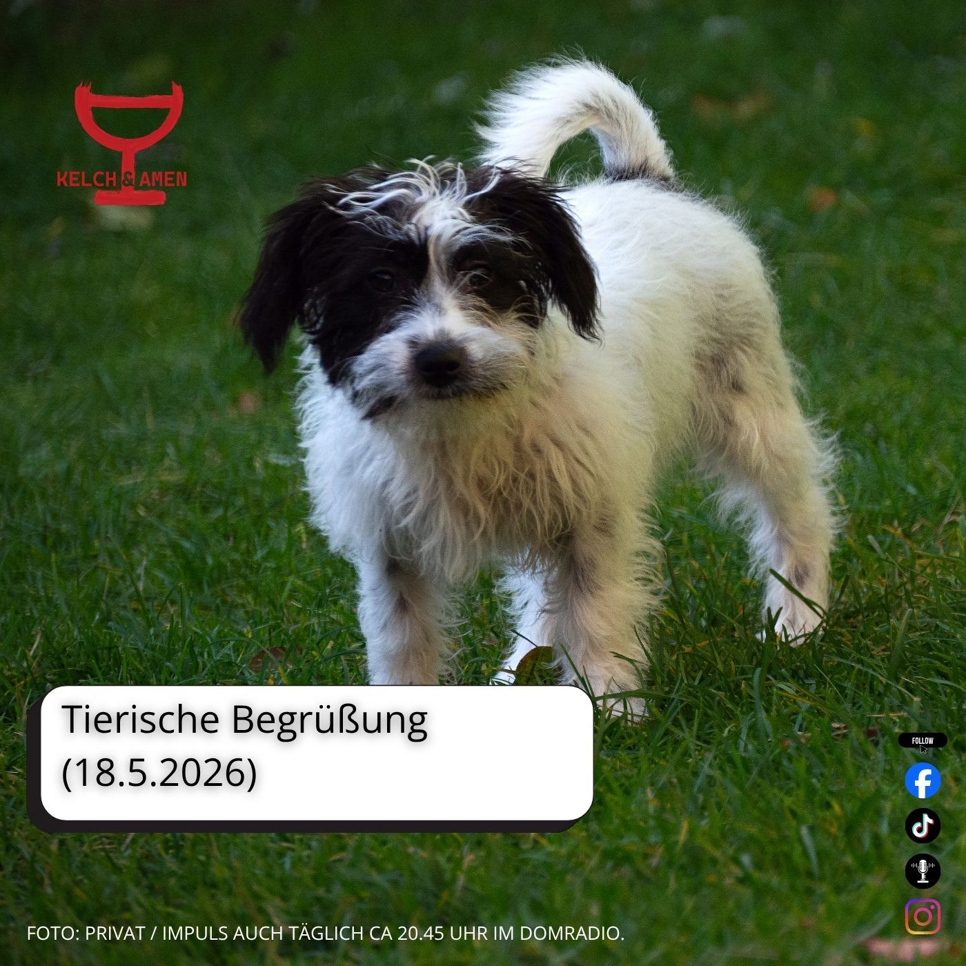 Tierische Begrüßung // 18.5.2026