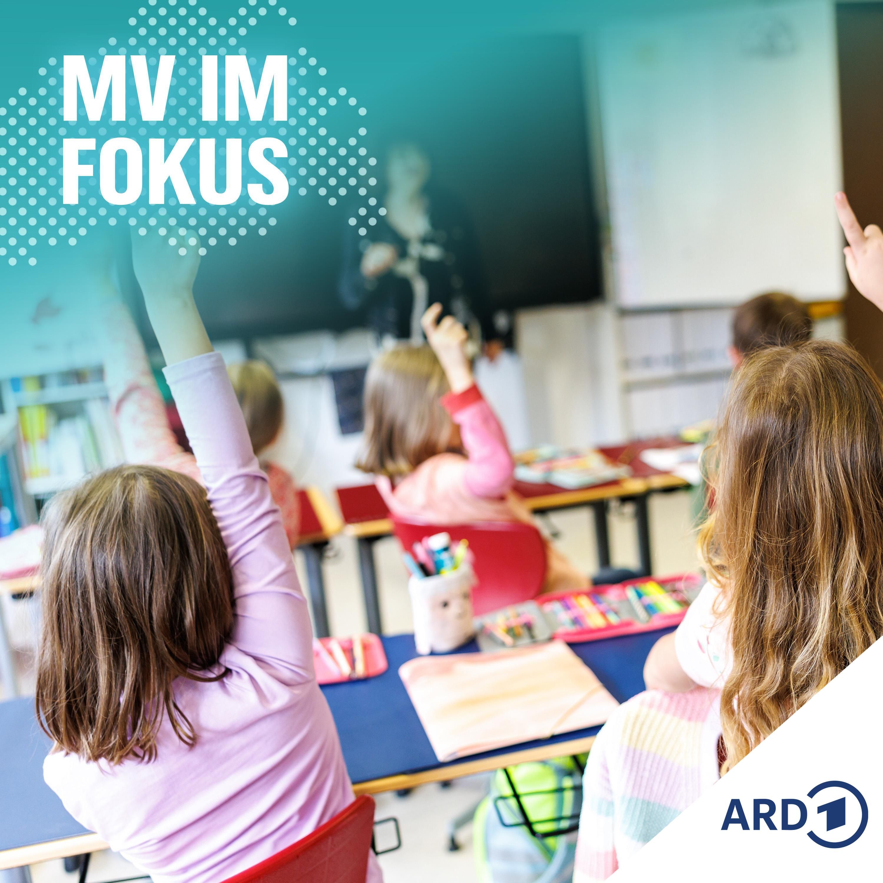 Schule am Limit: Was Bildung in MV jetzt braucht