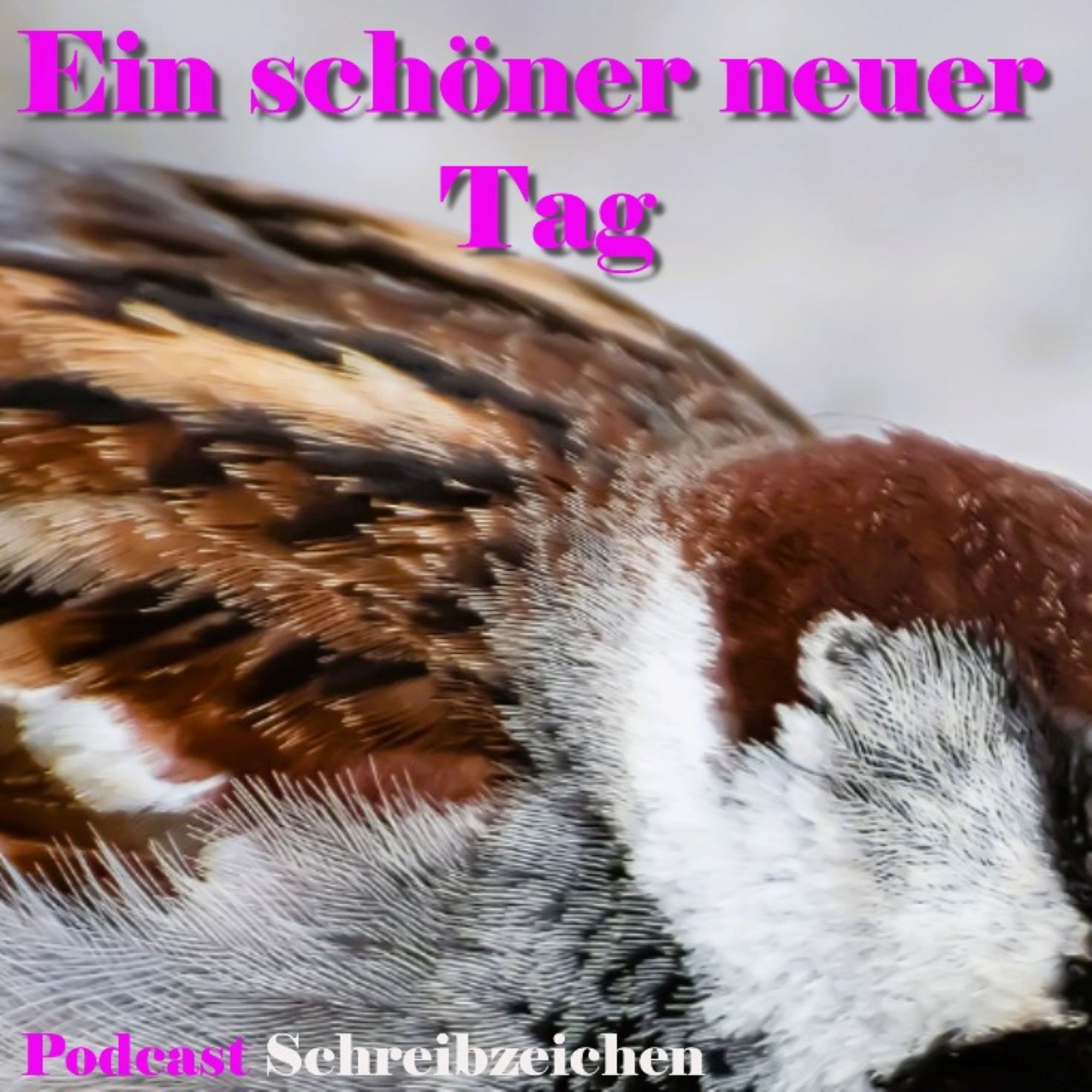 Ein schöner neuer Tag