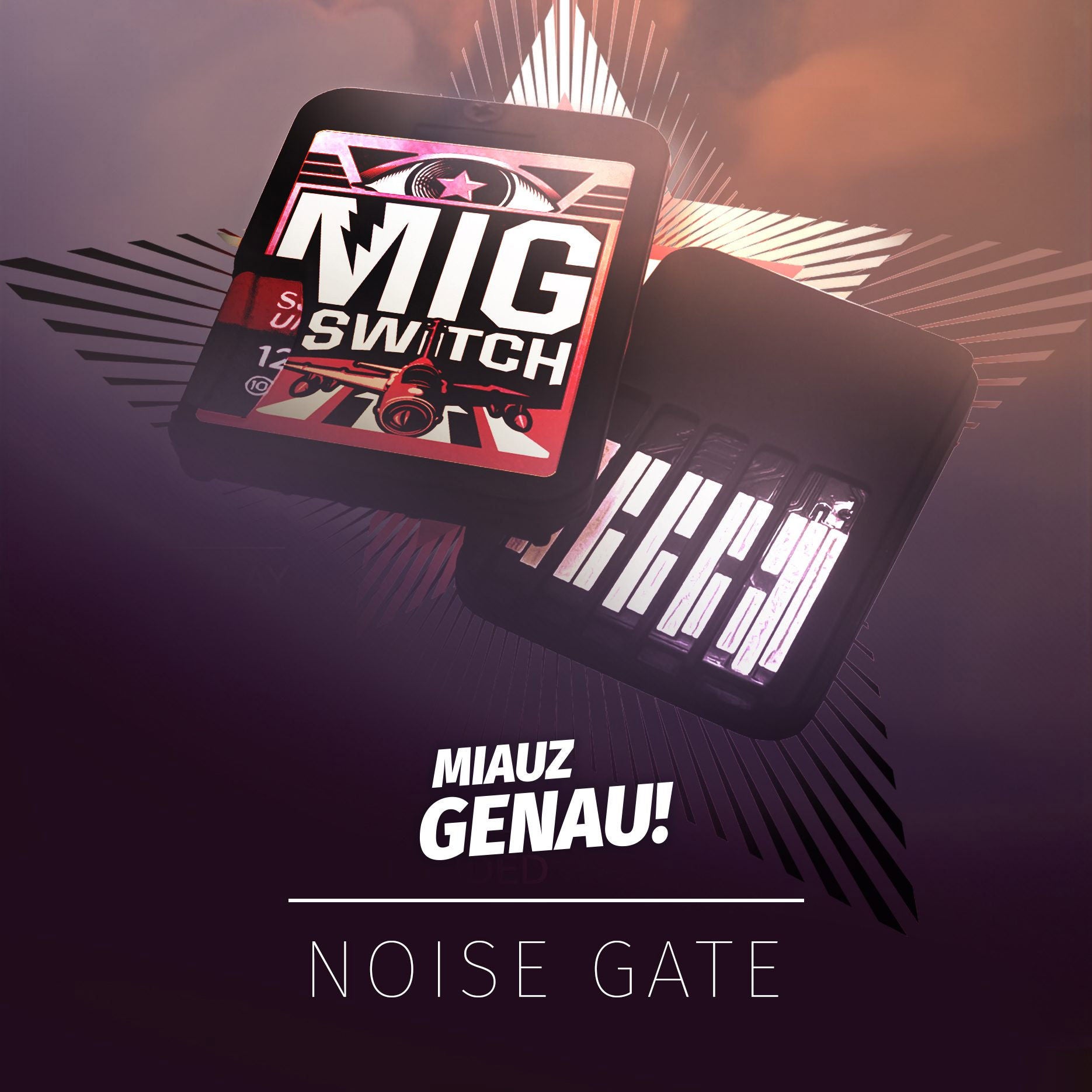 Wie gut ist die MIG Switch wirklich? [MGN #003]