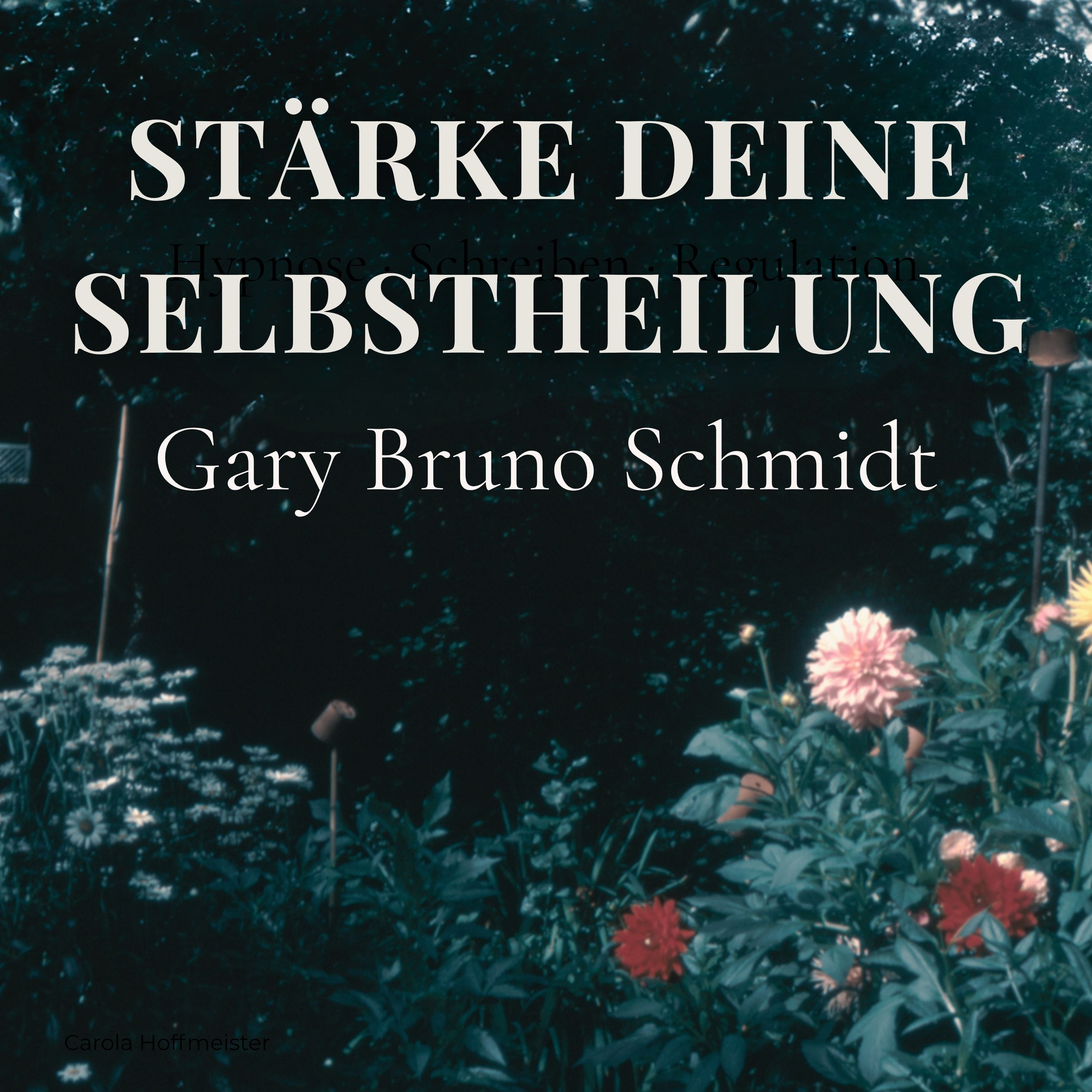 Selbstheilungskräfte – innere Regulation verstehen (mit Gary Bruno Schmid)
