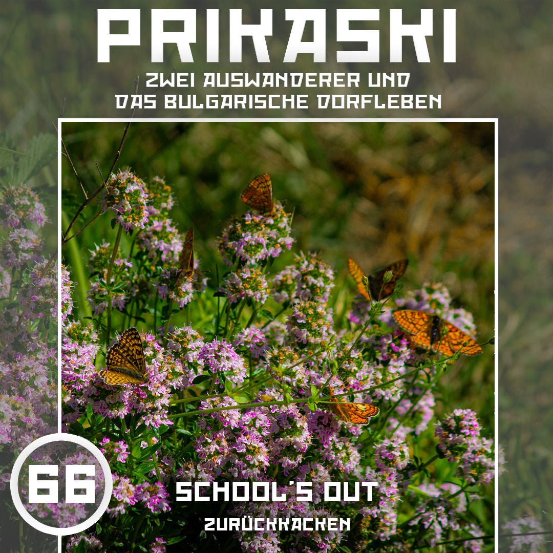 Folge 66: School’s Out – Zurückkacken