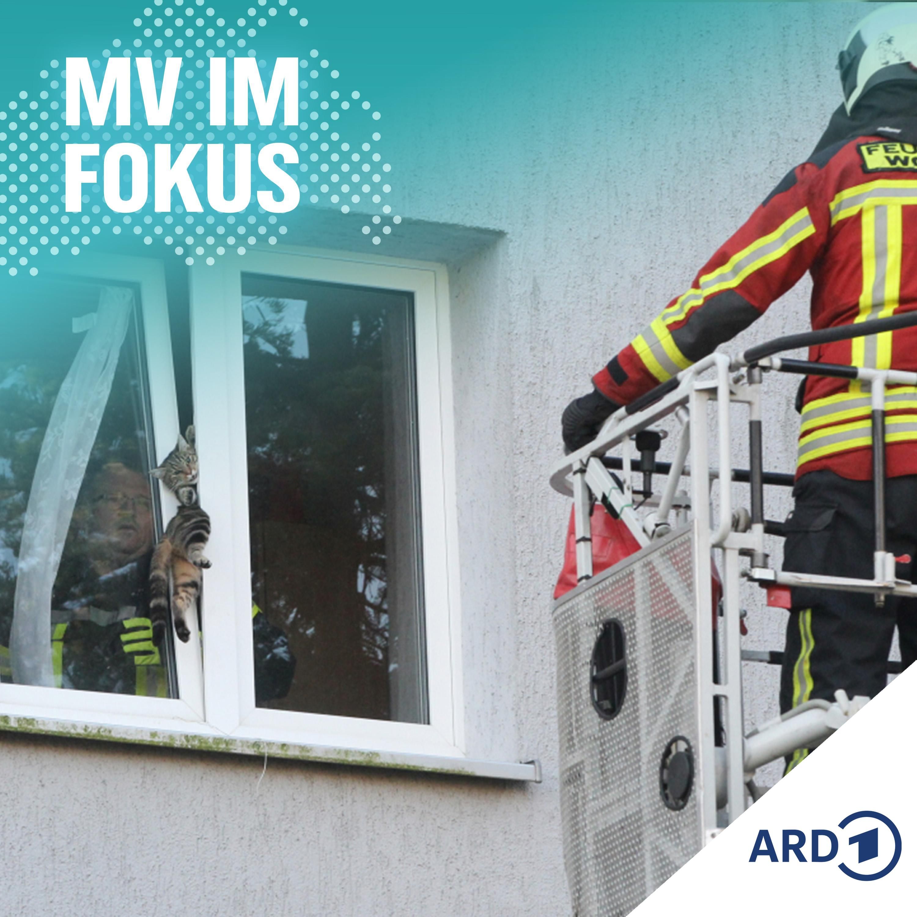 Stress für die Feuerwehr - Immer mehr Fehlalarme