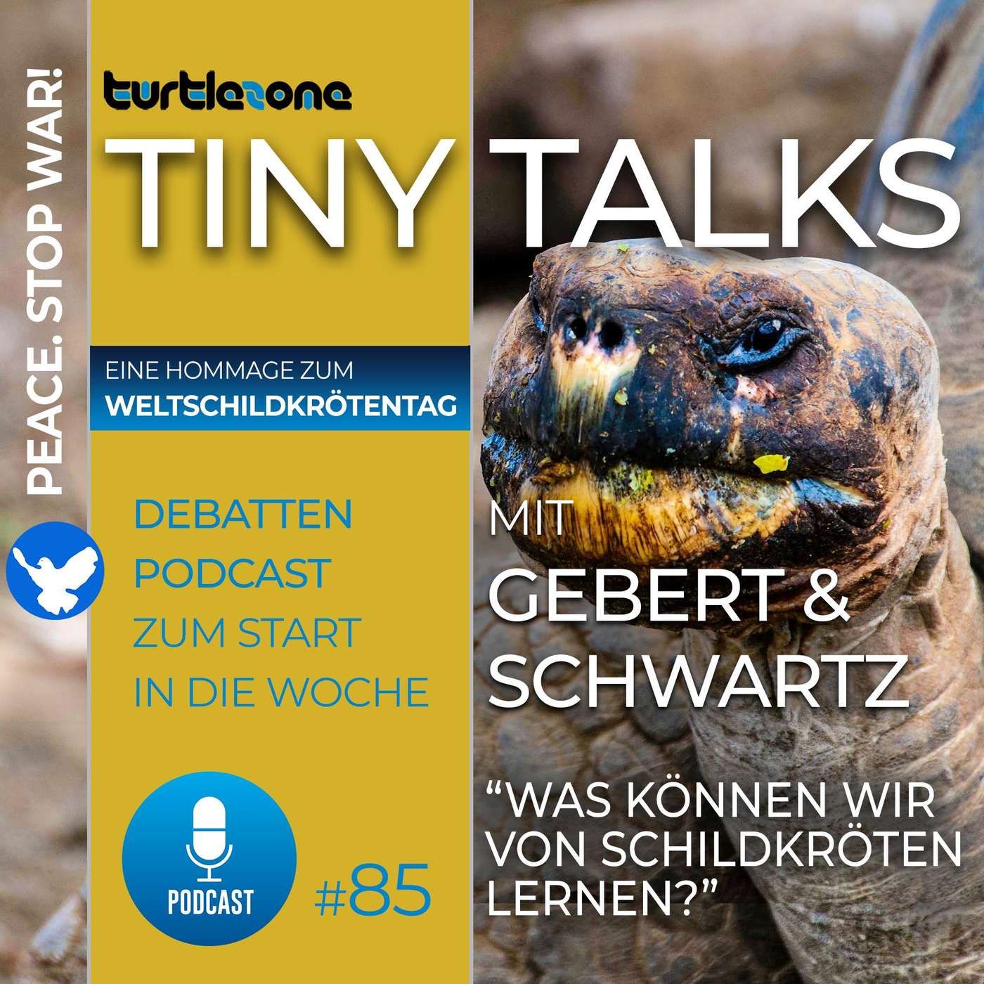 Was können wir von Schildkröten lernen?