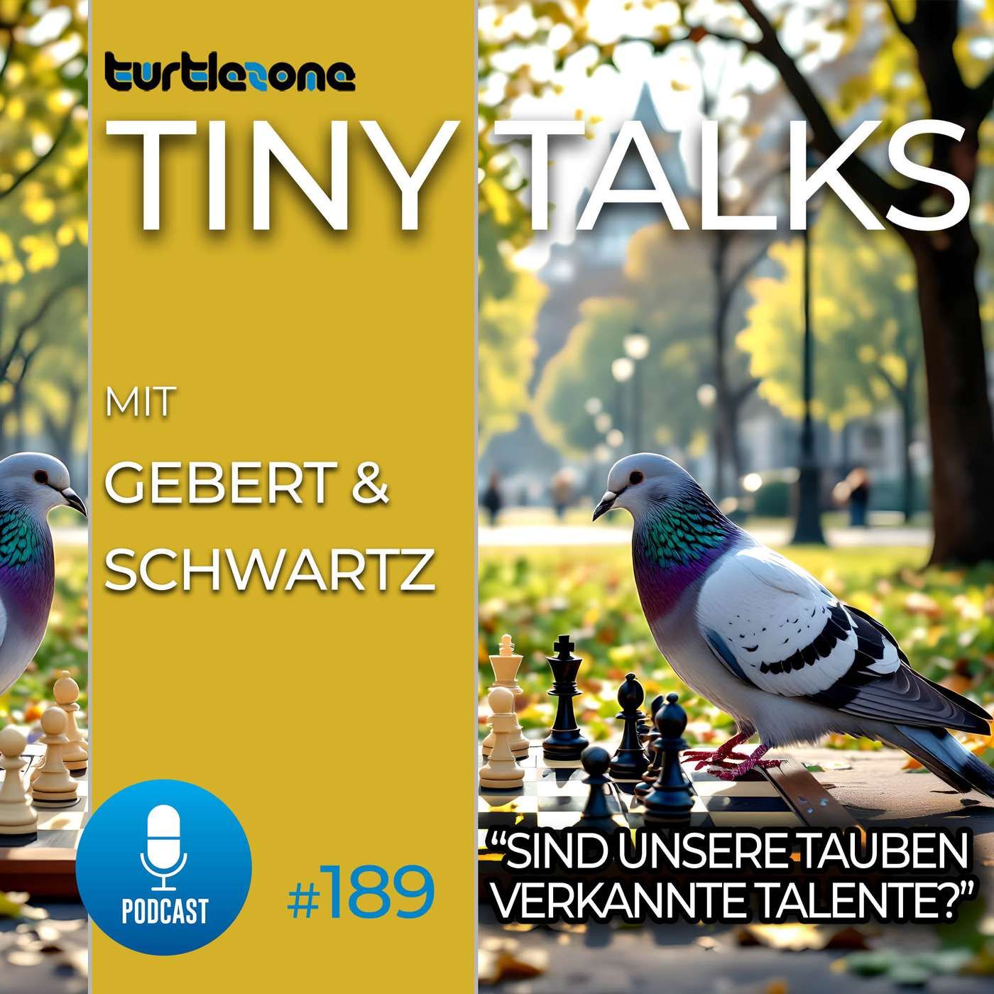 Sind unsere Tauben verkannte Talente?