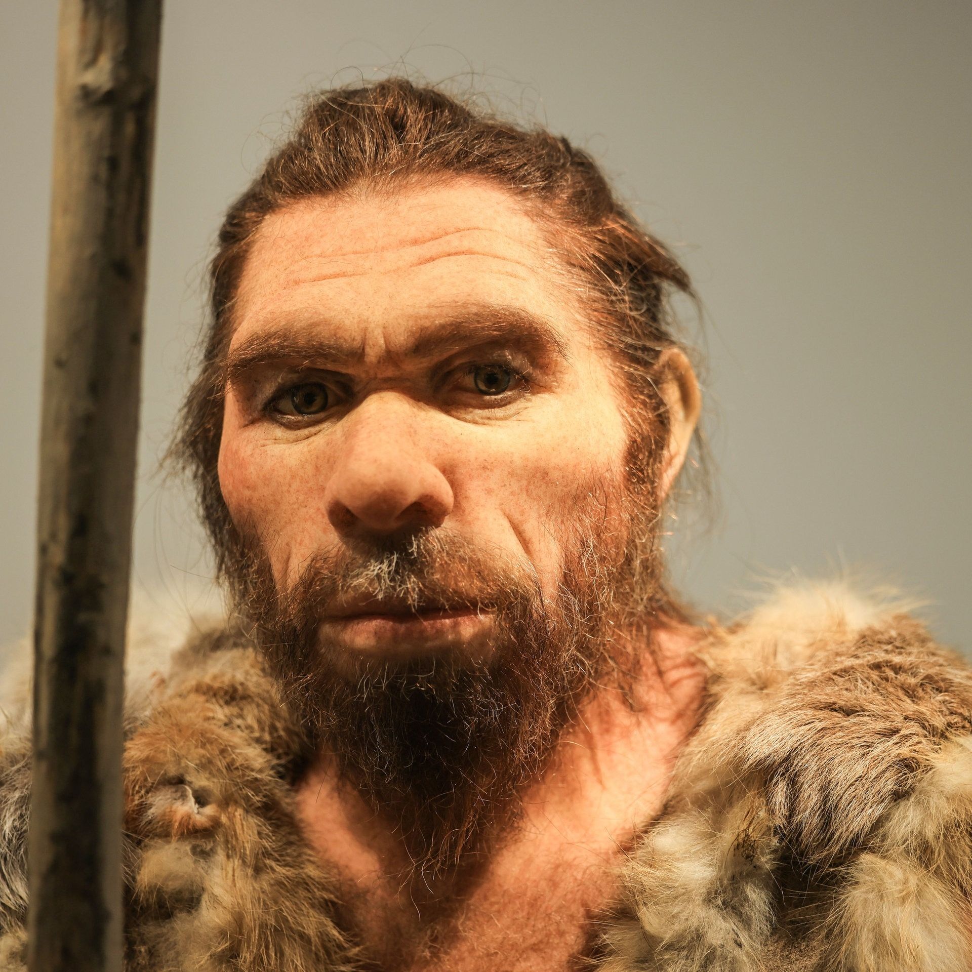 Vor 60.000 Jahren: Schon der Neandertaler-Zahnarzt hat gebohrt!
