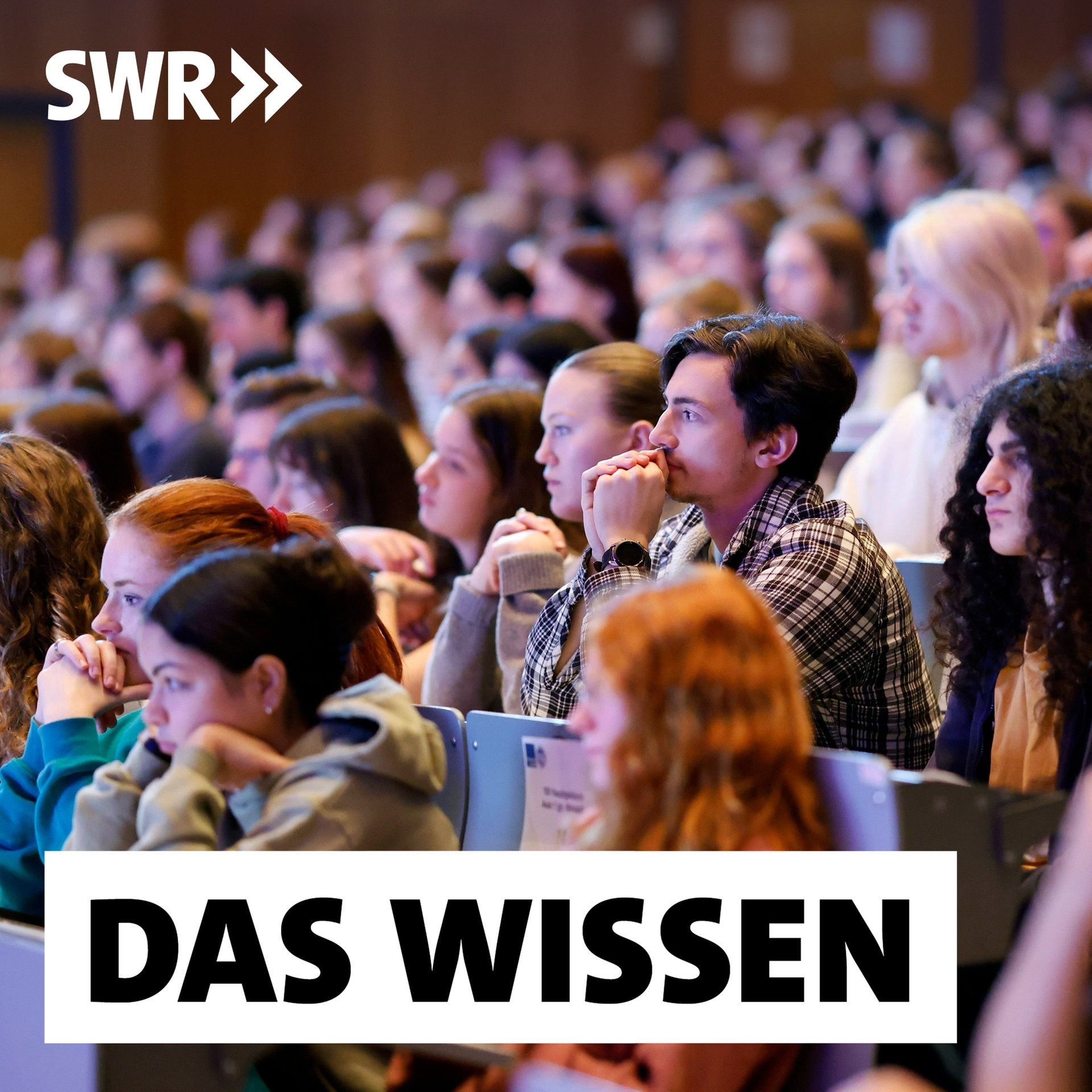25 Jahre Bologna – Warum die Hochschulreform so nicht funktioniert