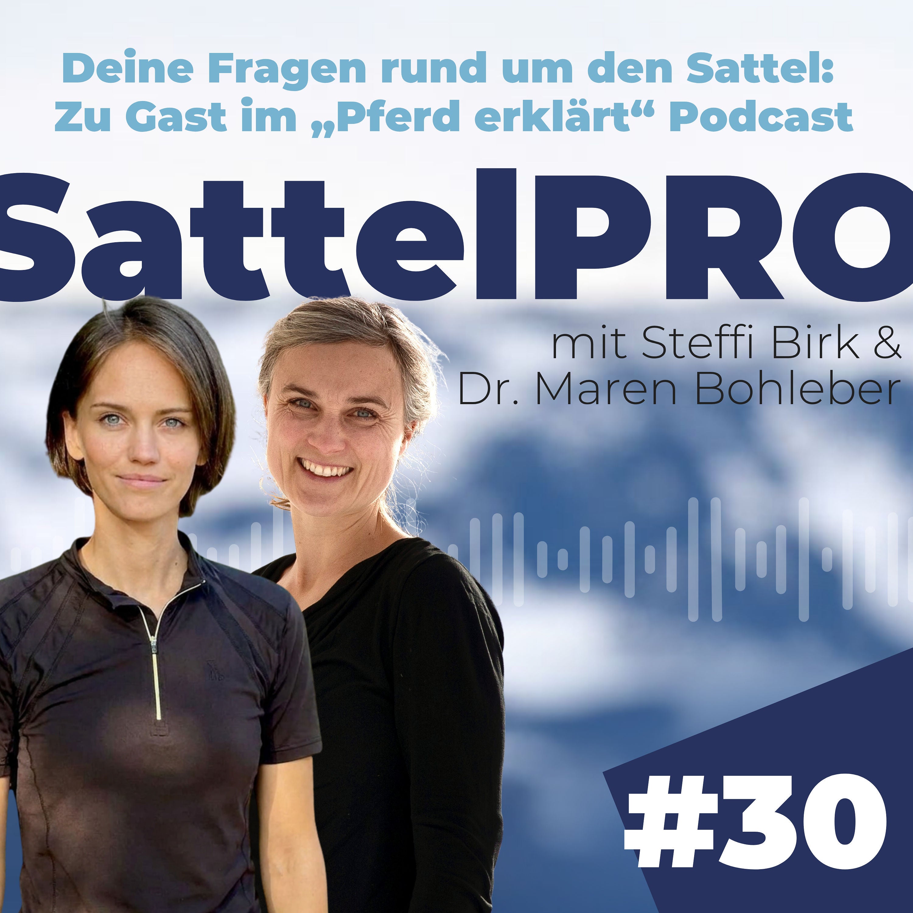 #30 Deine Fragen rund um den Sattel: Zu Gast im „Pferd erklärt“ Podcast
