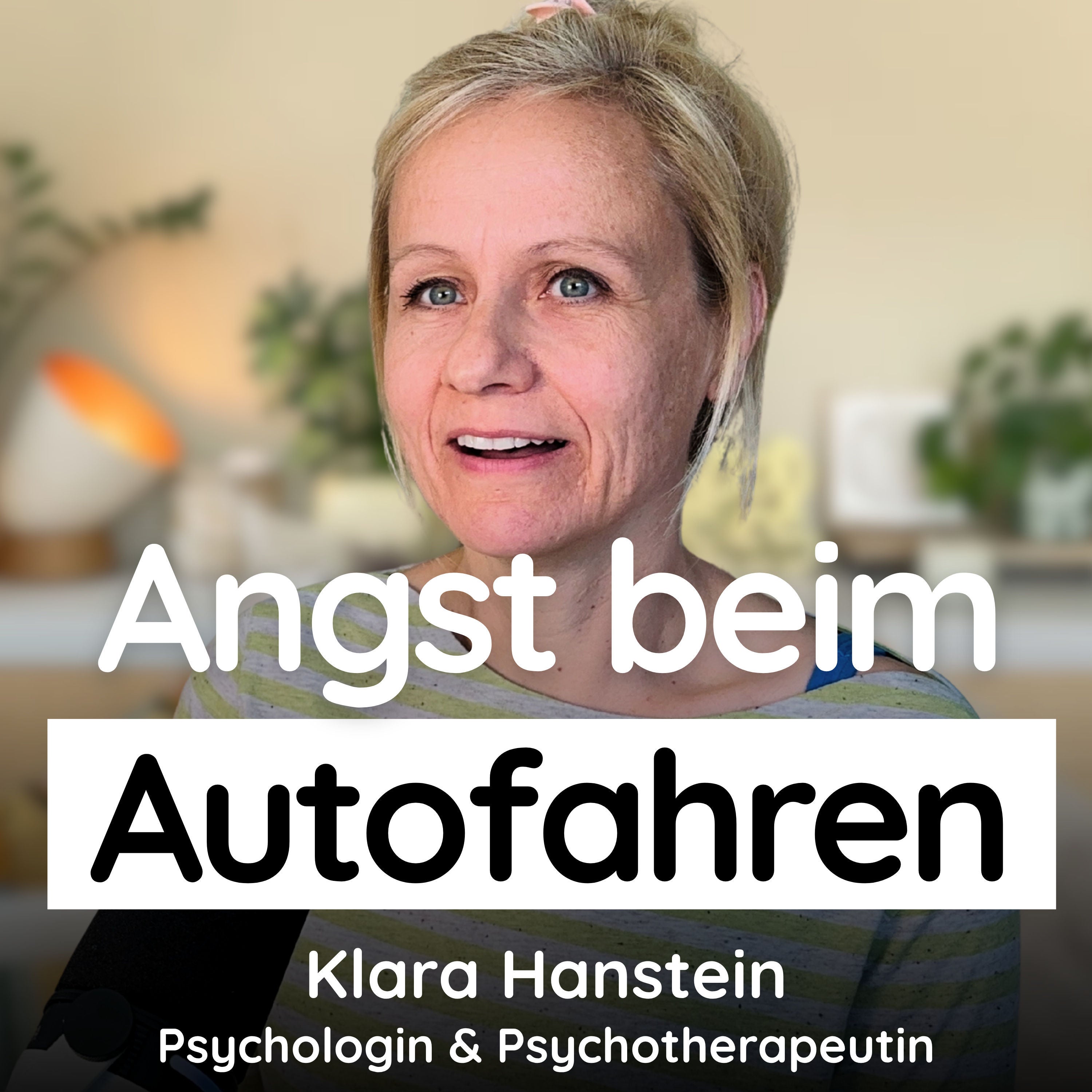 Angst vorm Autofahren - ein ruhiger Mutmacher für unterwegs