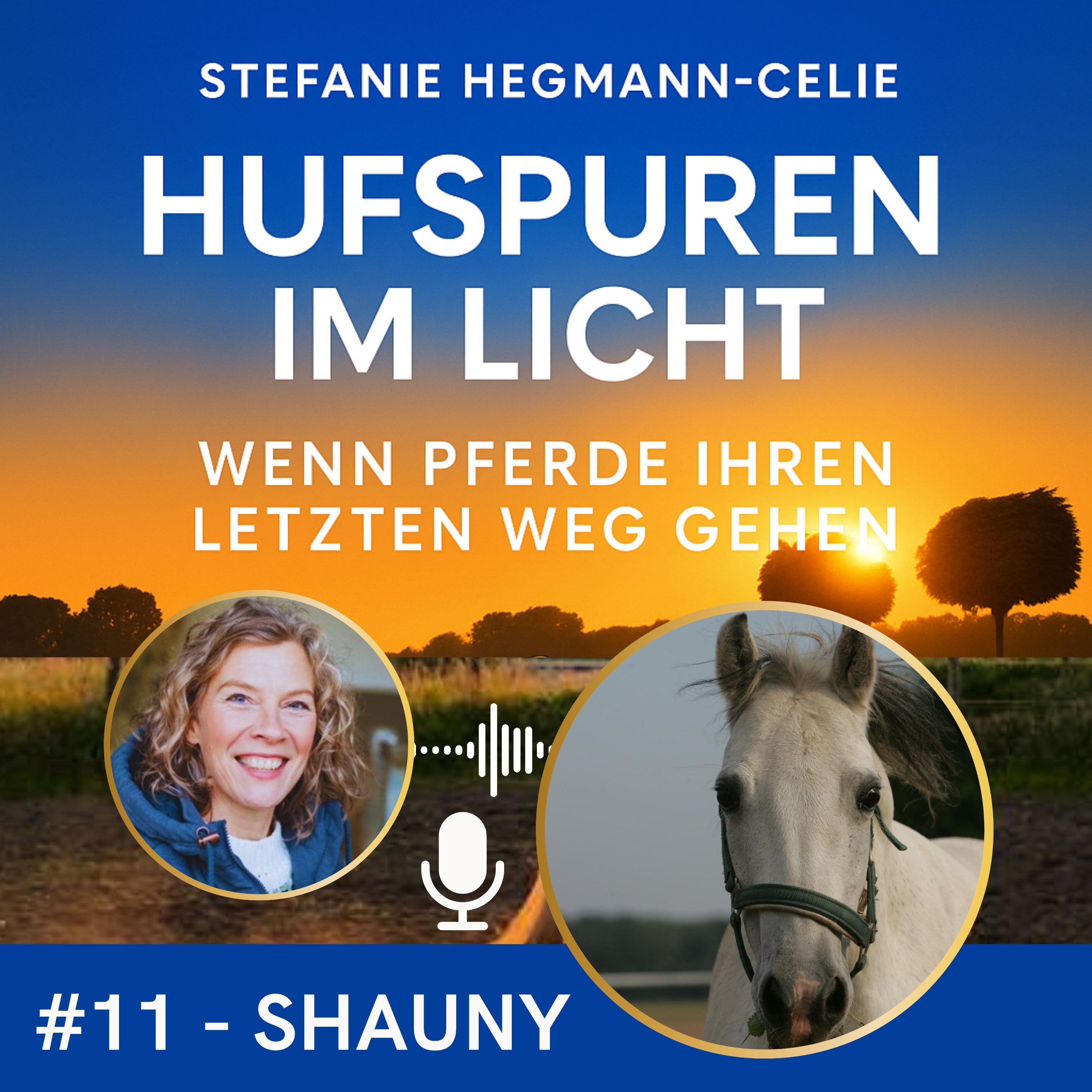 #11 - Shauny: ein Weihnachtswunder I Wie eine Fohlenrettung zwei Leben veränderte I Kolik