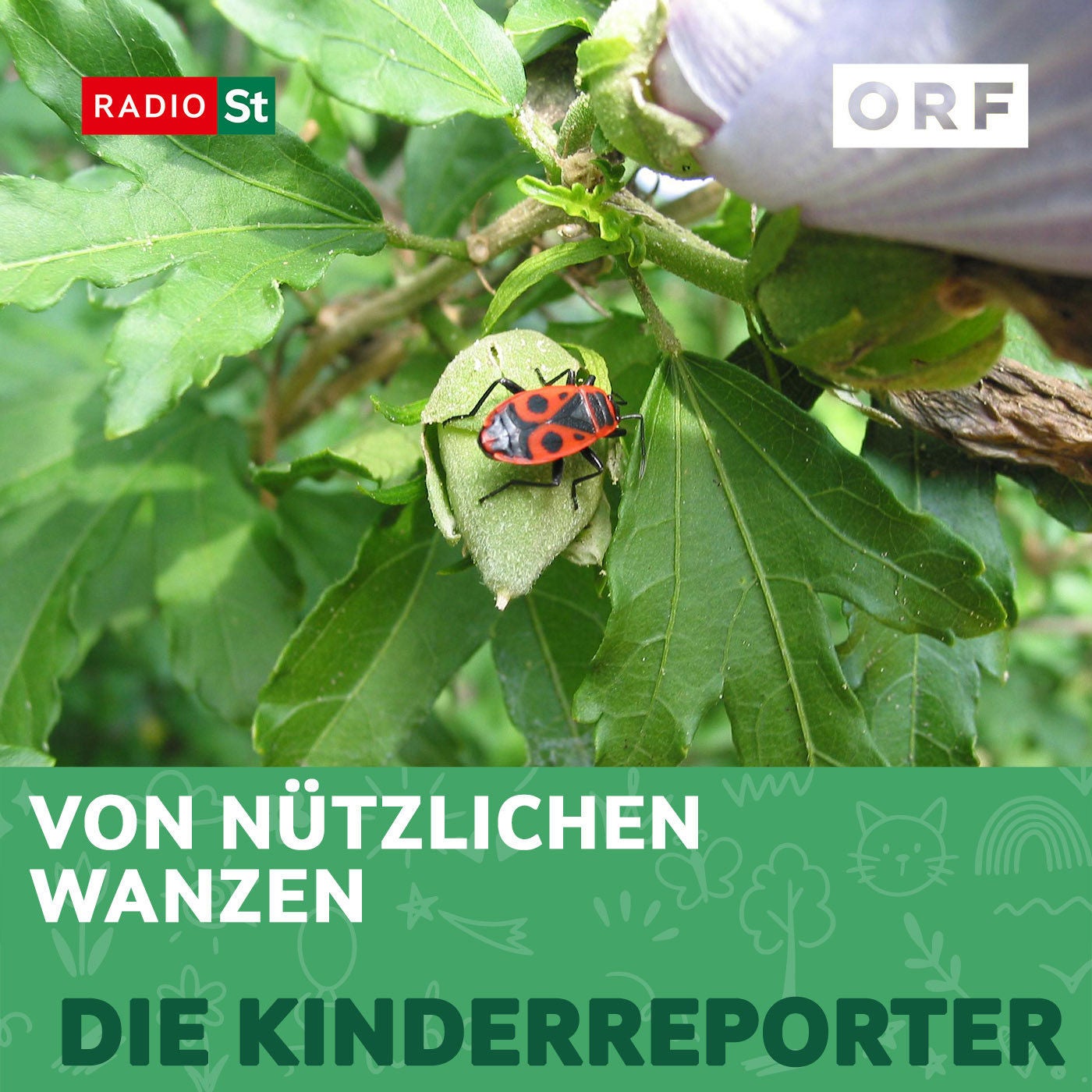 Von nützlichen Wanzen
