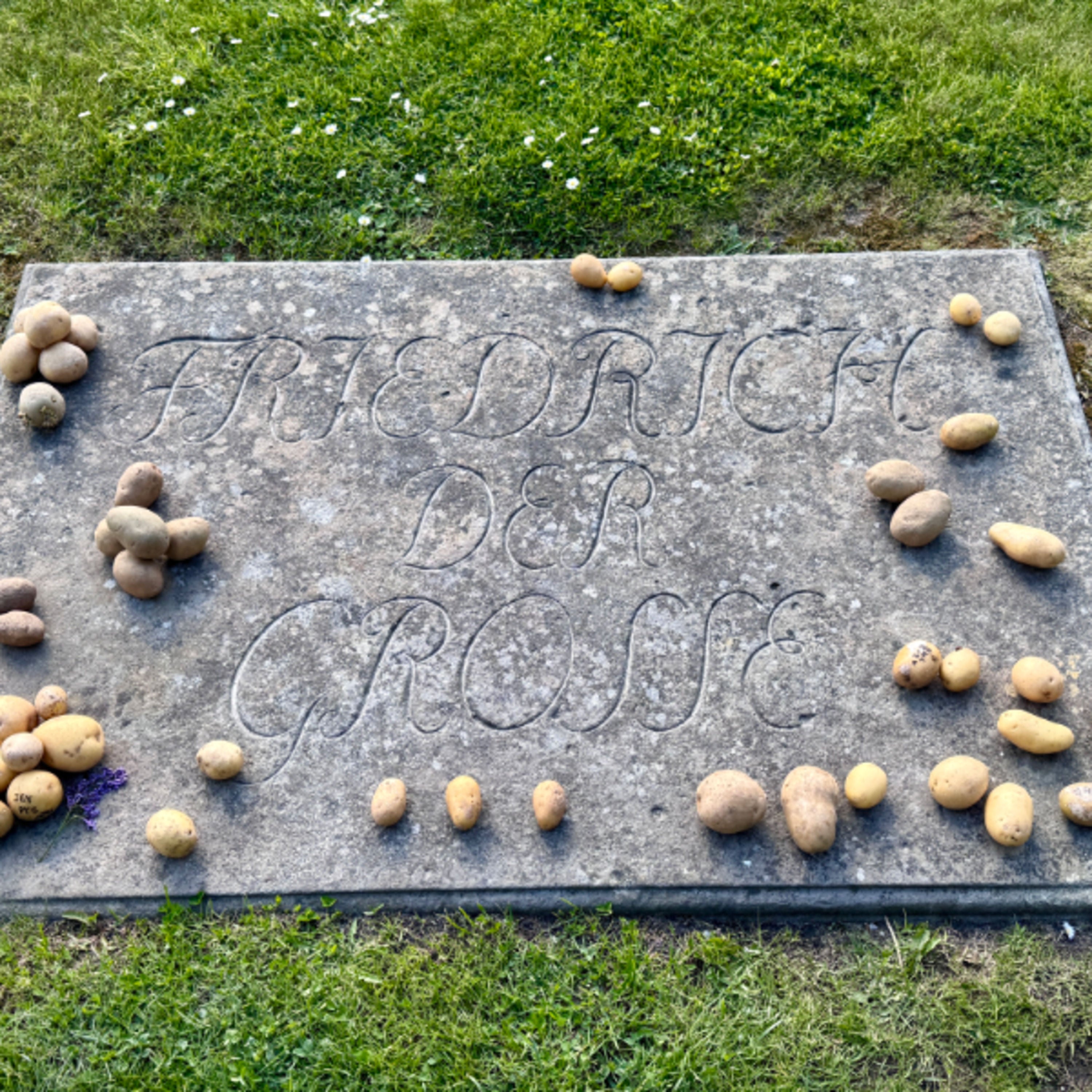 Friedrich der Große, Kartoffeln und die genialste Marketingaktion der Geschichte