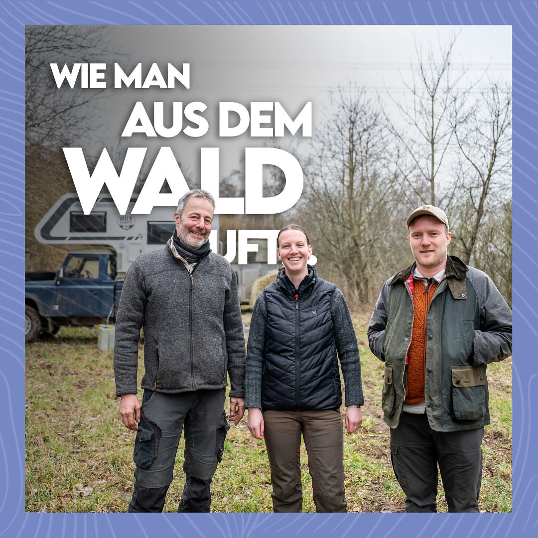 #36 Ein Pferderücken kann auch entzücken