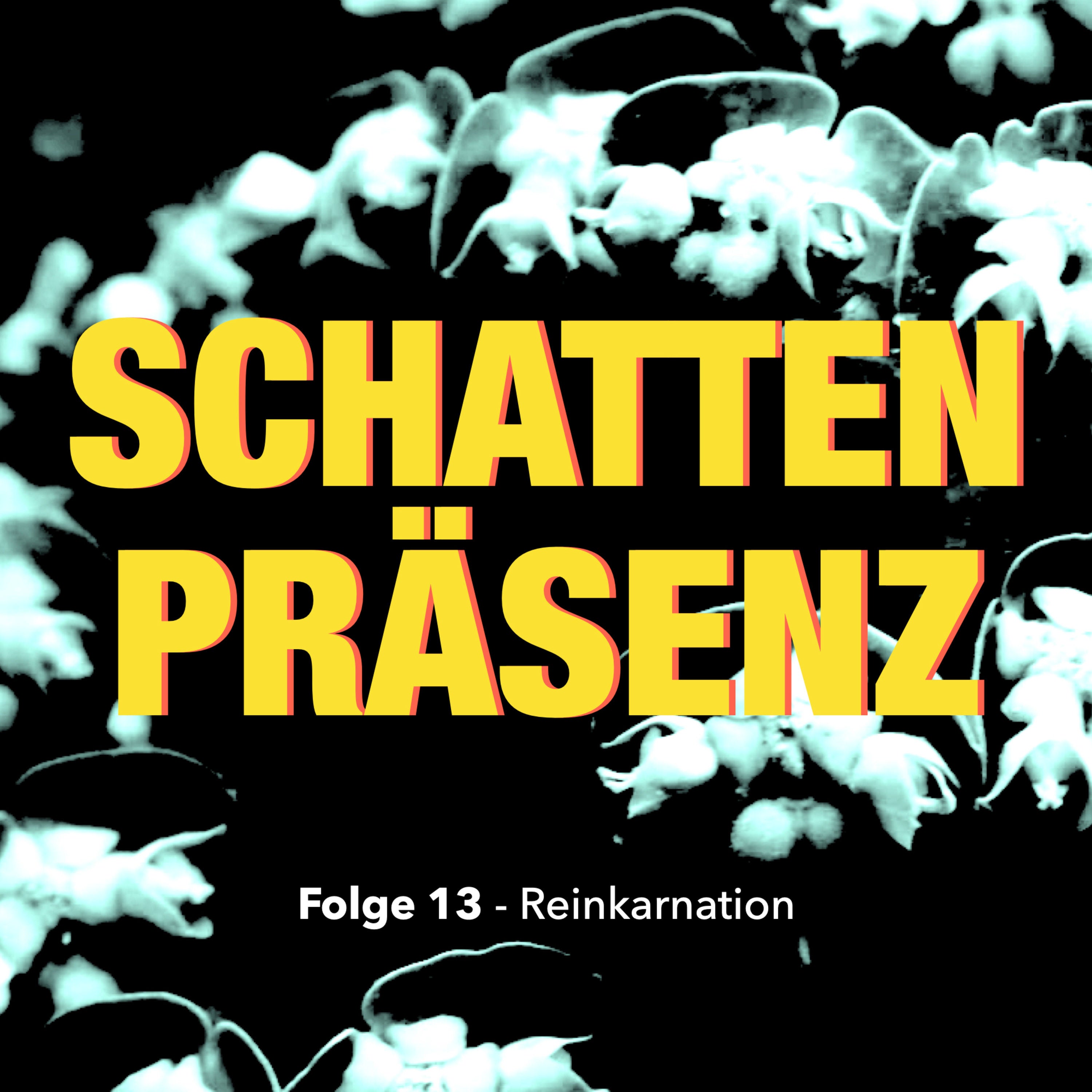 Folge 13: Reinkarnation