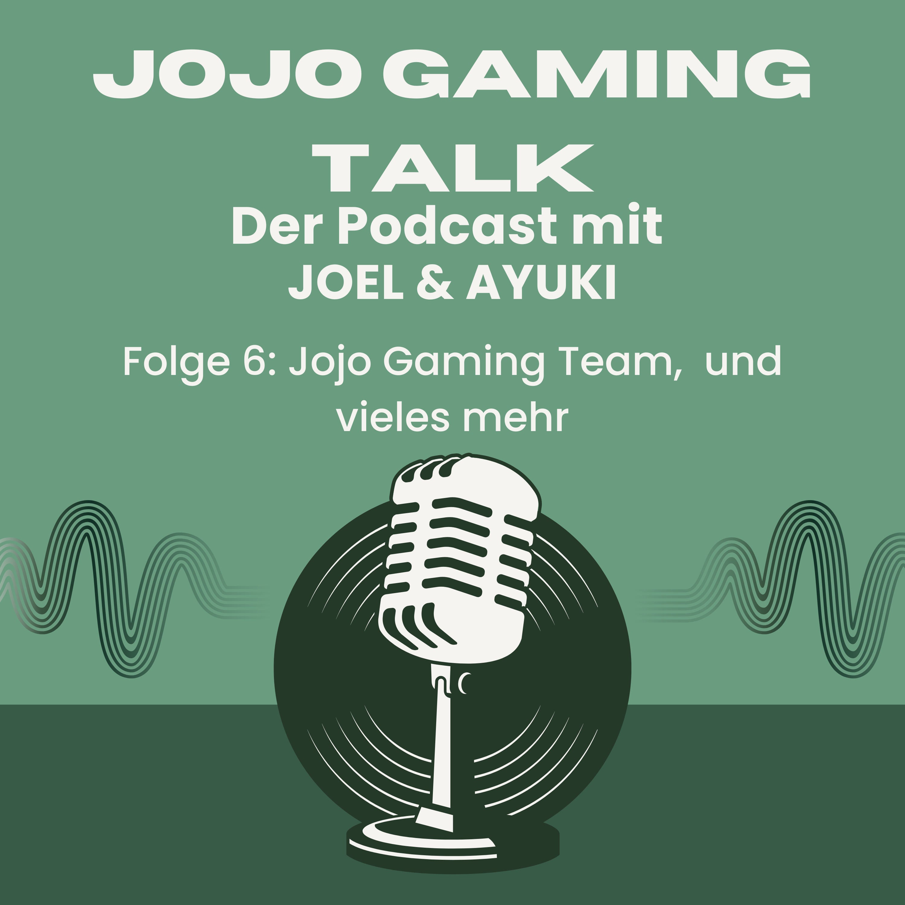 Jojo Gaming Team, LS25 und neue Projekte