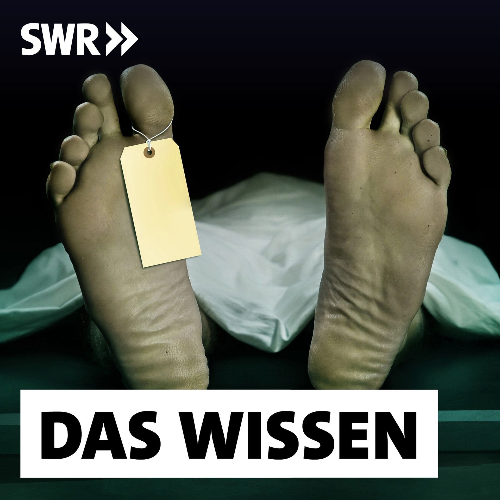 Mangelhafte Leichenschau – Wie mehr Morde erkannt werden könnten