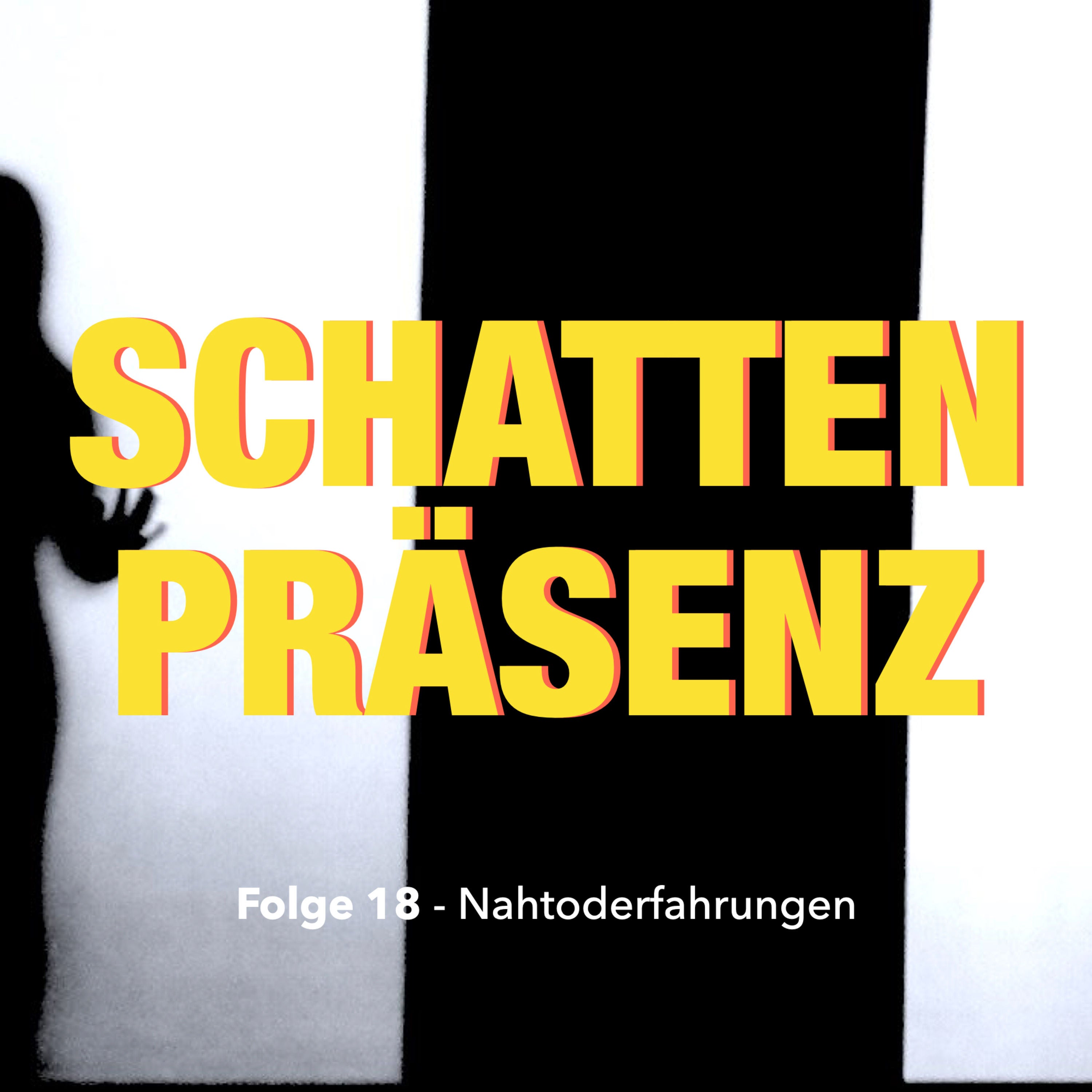 Folge 18: Nahtoderfahrungen