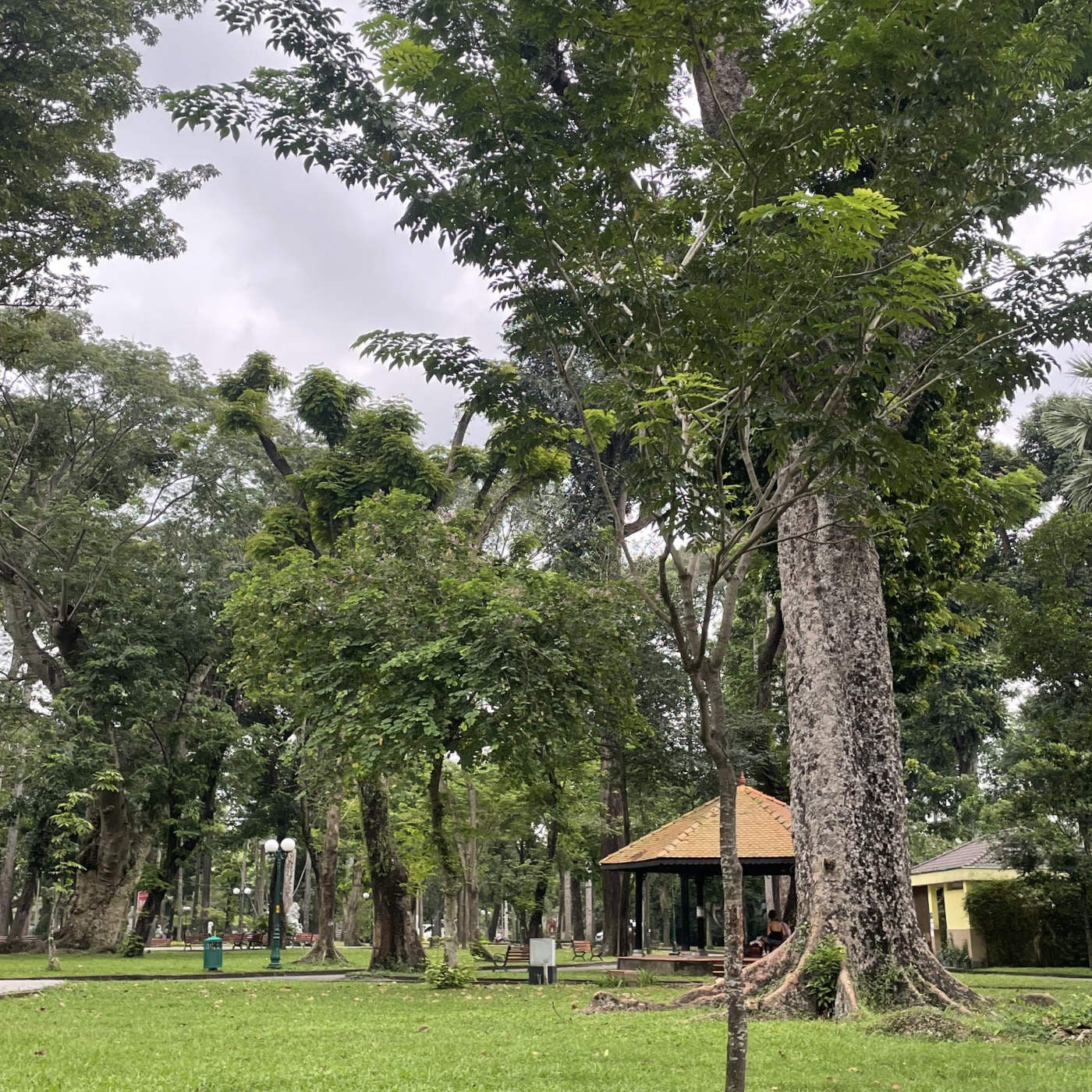 Pfingstsonntag, 24.05. Entspannt einschlafen - Der Park der alten Bäume