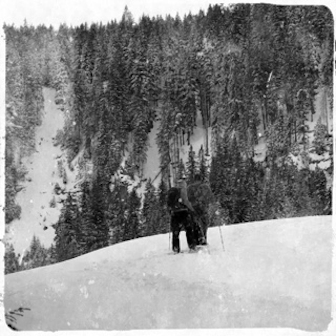 Die Djatlow-Pass Neun