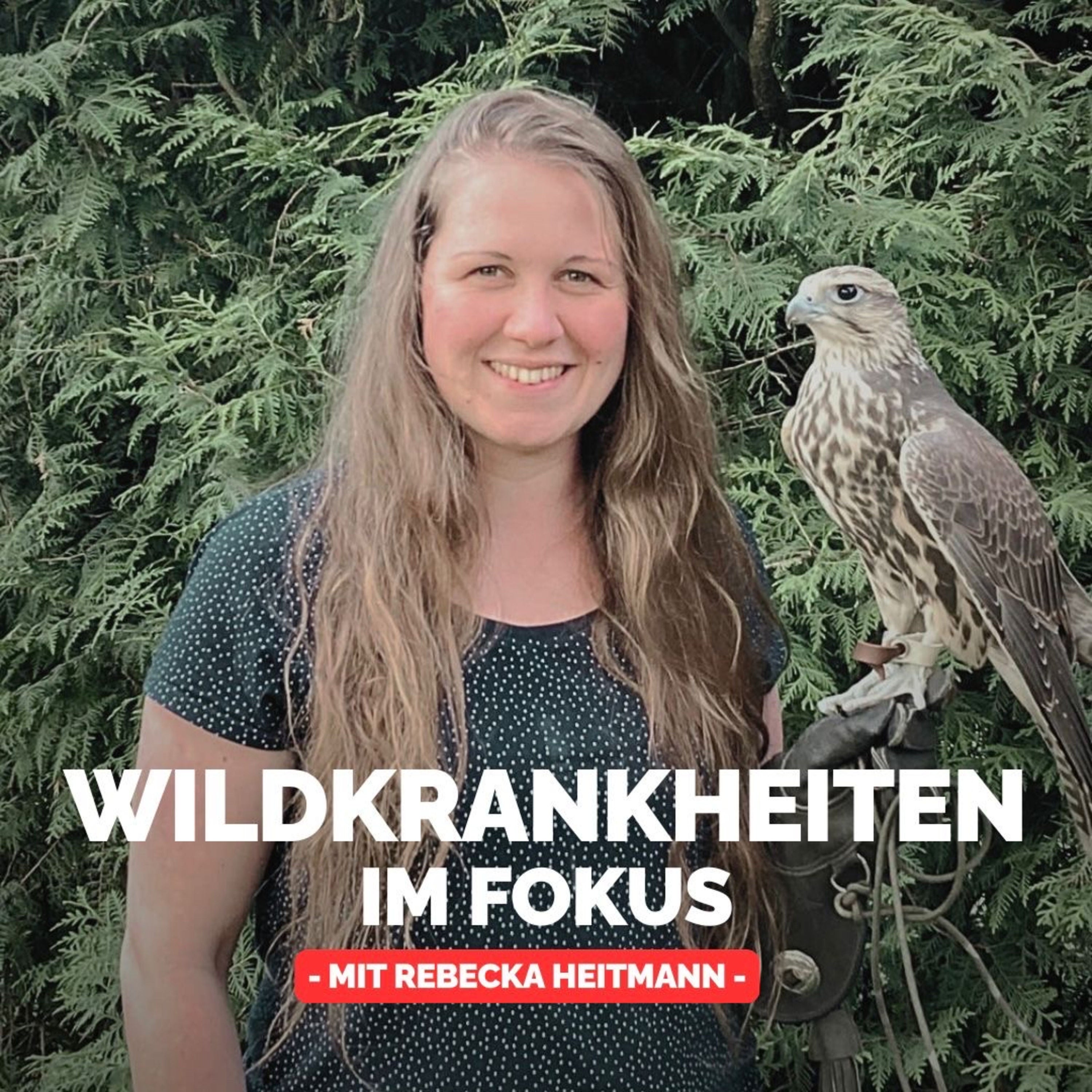 Wildkrankheiten im Fokus – Mit Rebecka Heitmann