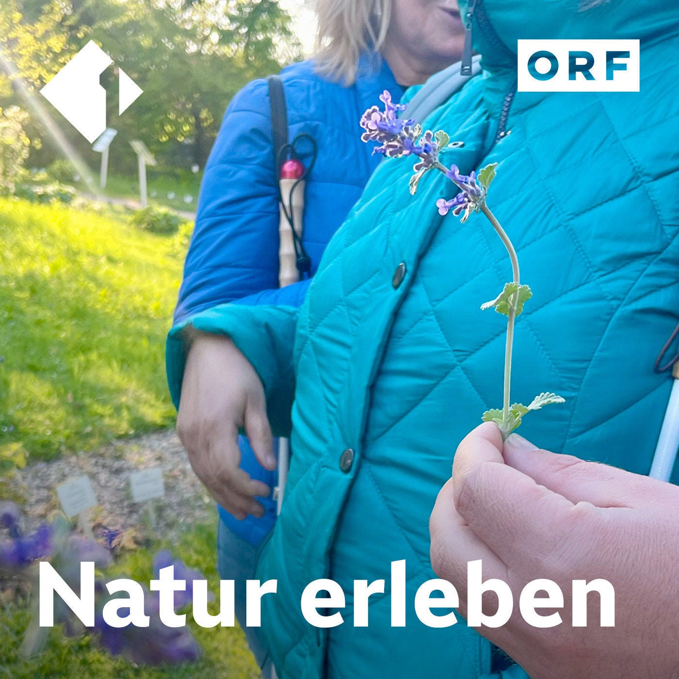 Natur bewusst erleben