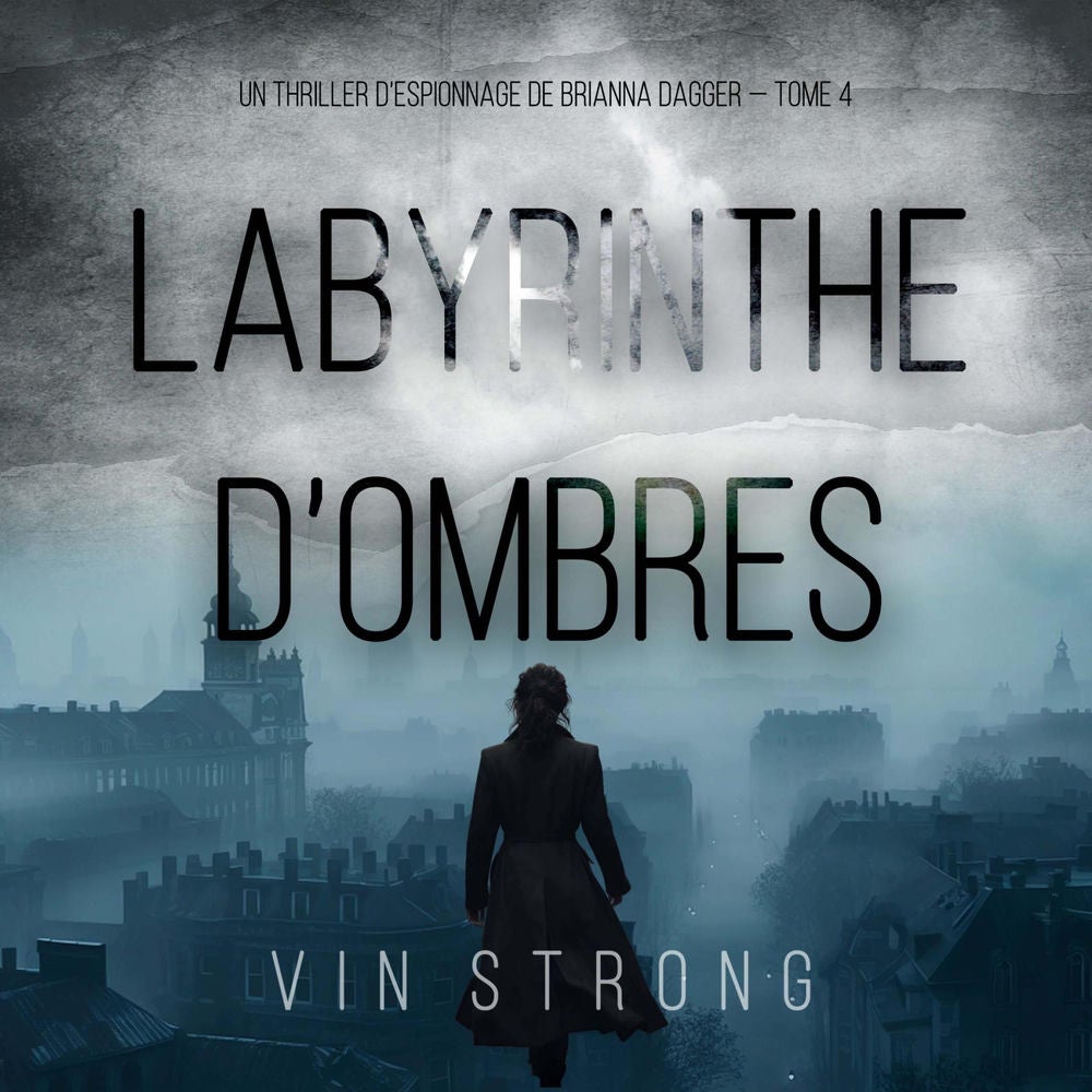 Labyrinthe d'ombres (Un thriller d'espionnage de Brianna Dagger — Tome 4)