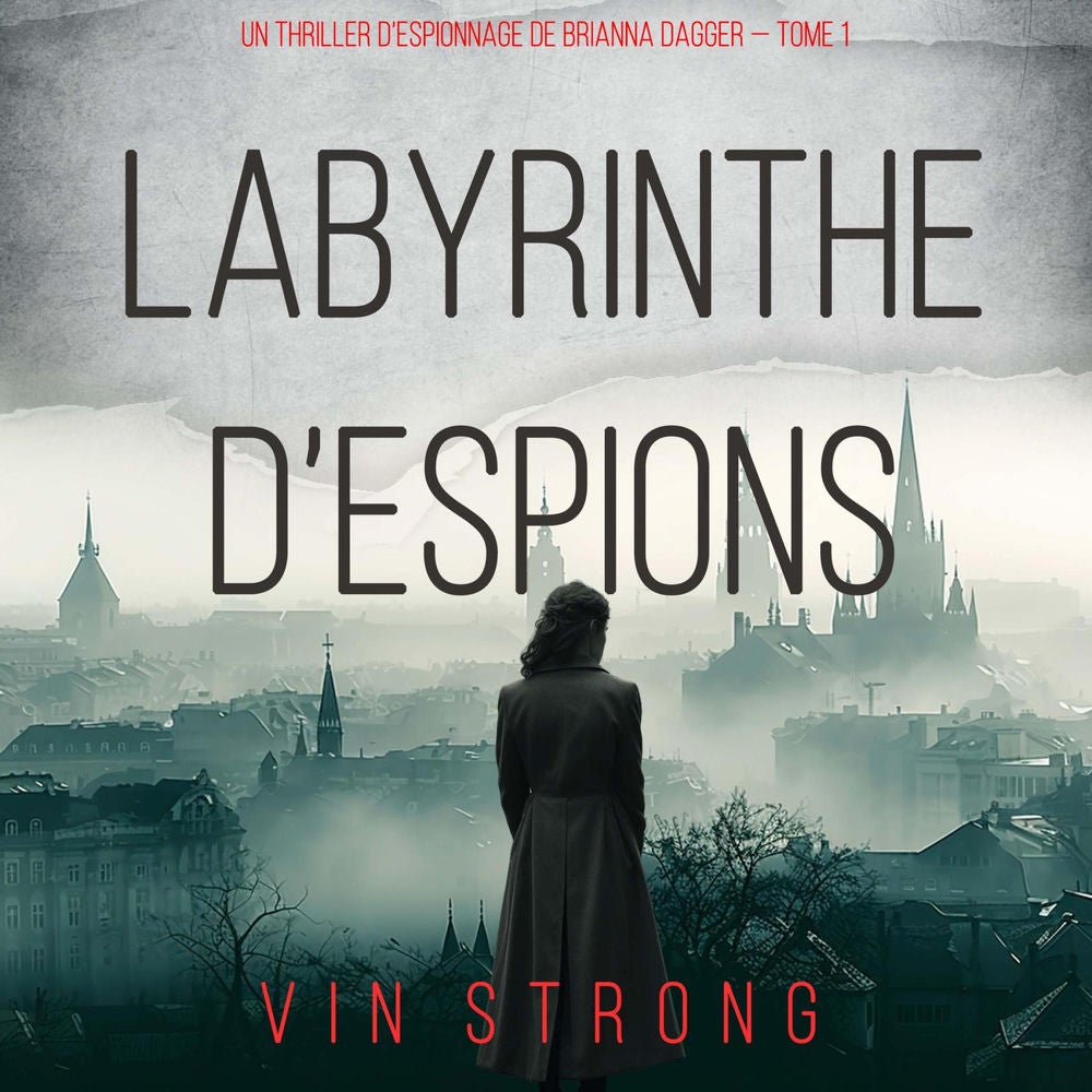 Labyrinthe d'espions (Un thriller d'espionnage de Brianna Dagger — Tome 1)