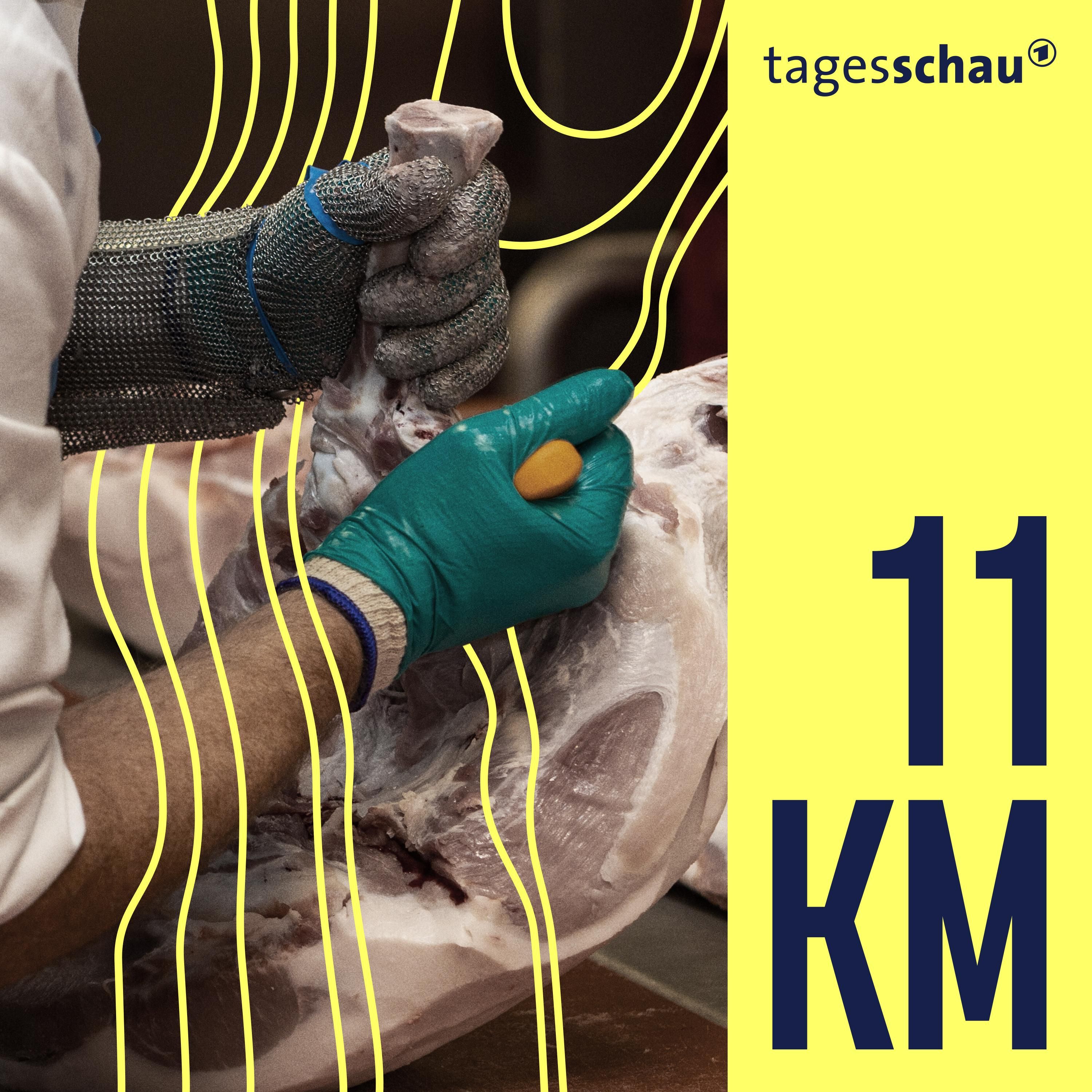 Wie die Fleischindustrie ausländische Akademiker ausbeutet