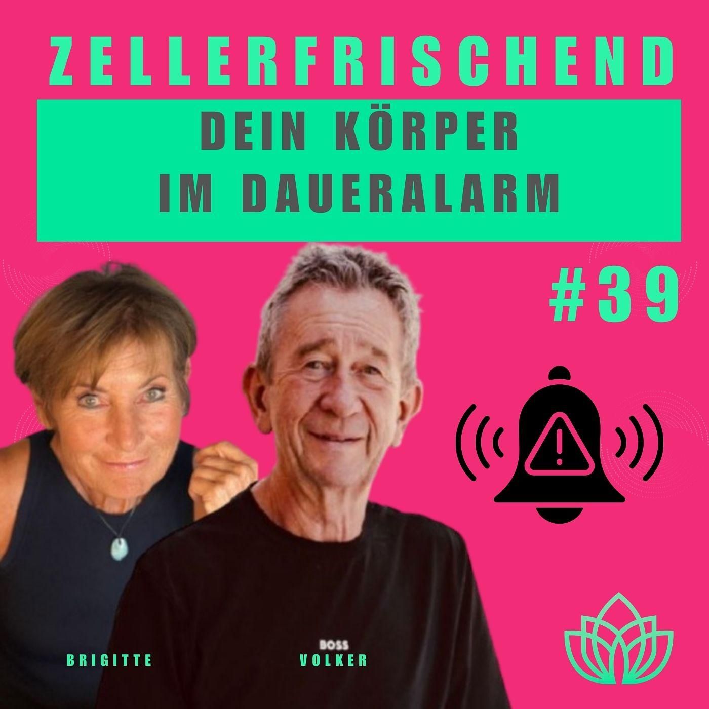 Zellerfrischend - Allergien. Wenn dein Immunsystem falsch Alarm schlägt. #39
