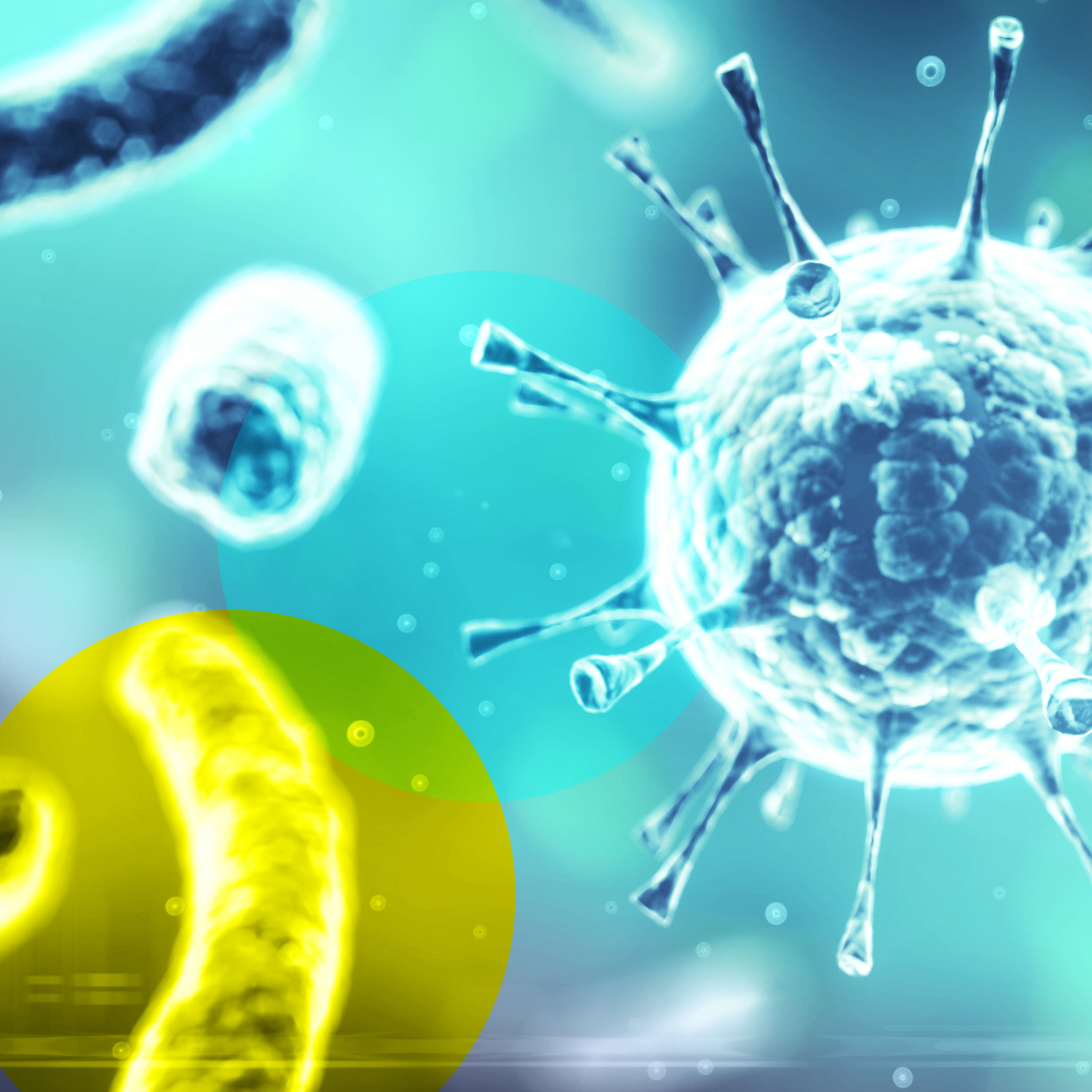Keine Angst! Das nächste Virus kommt bestimmt