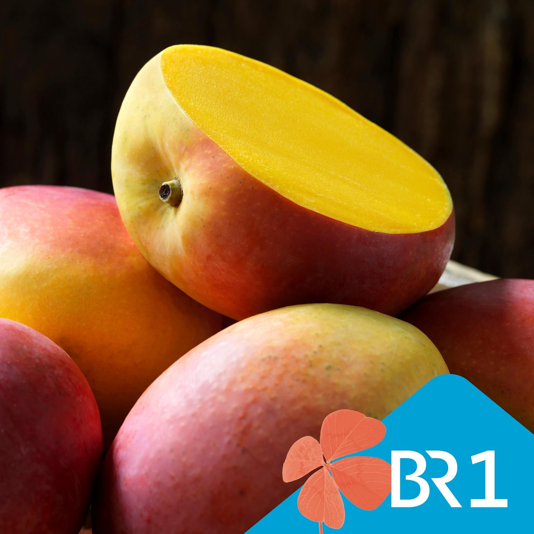 Genuss mit gutem Gefühl - Bio, fair, Schiff oder Flug: Welche Mango ist die beste?