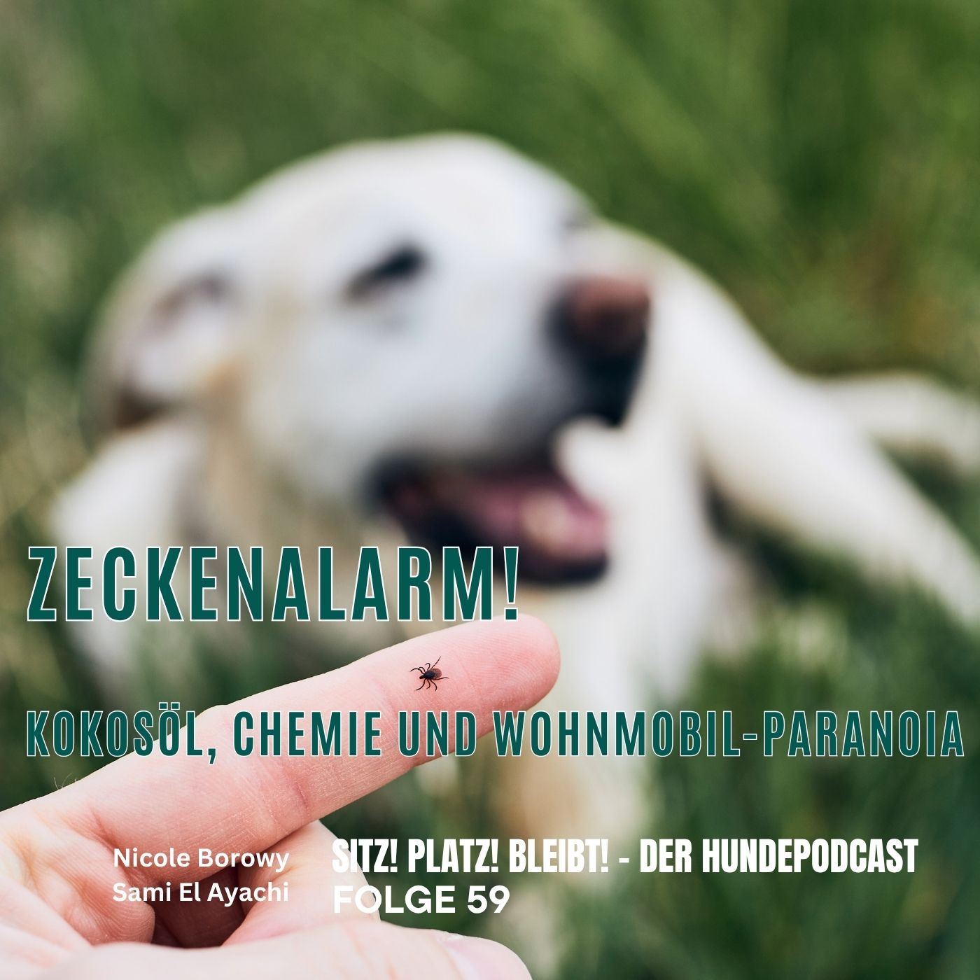 #59 Zeckenalarm! Kokosöl, Chemie und Wohnmobil-Paranoia