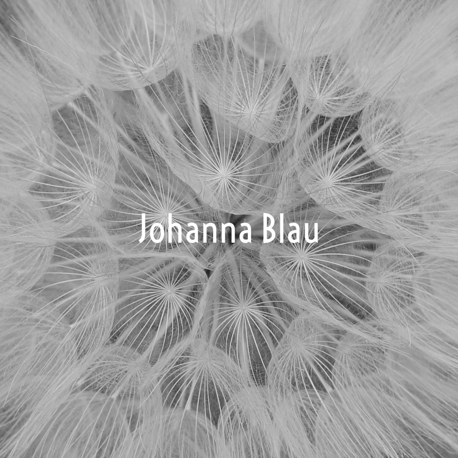 Puzzled Sphinx von Johanna Blau