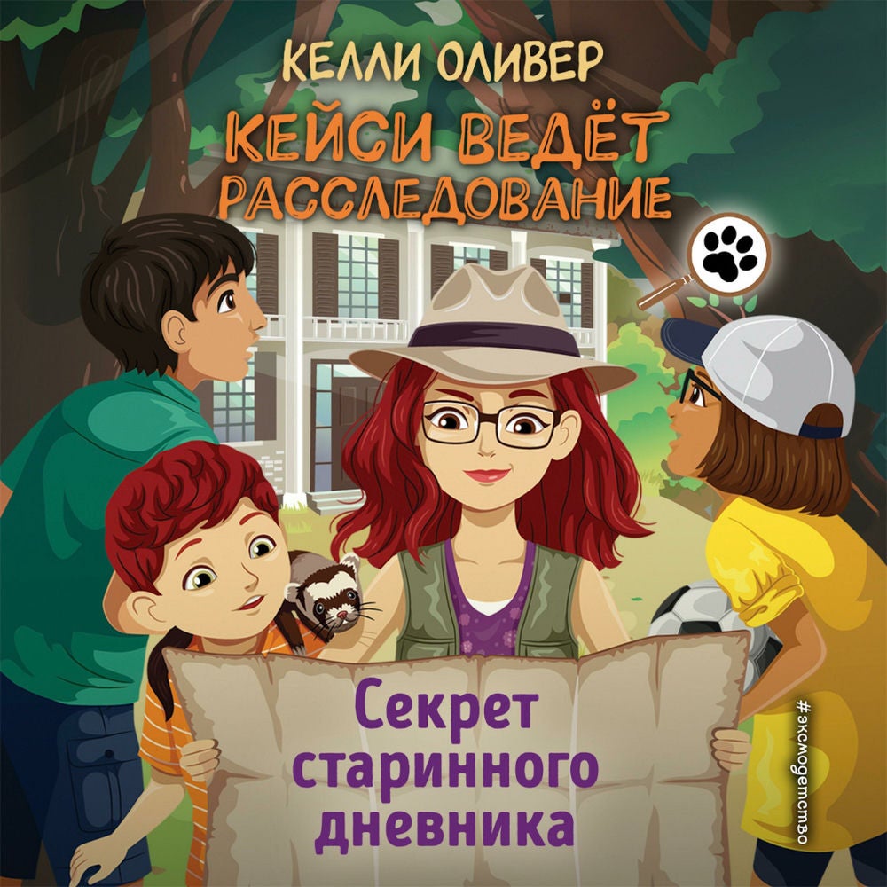 Секрет старинного дневника