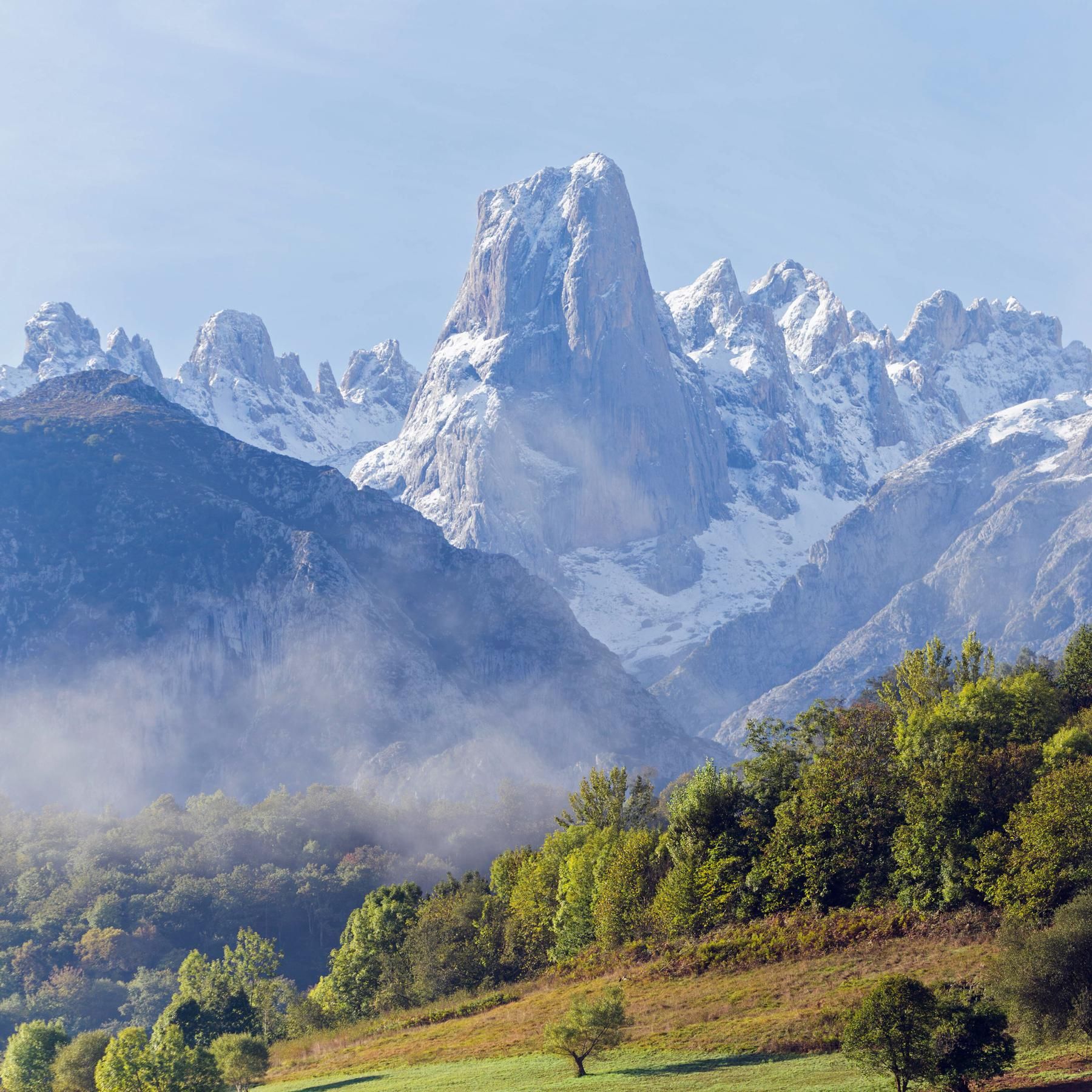 Nordspanien: Kalksteingebirge Picos de Europa, Grünes Gold Pimientos de Padron