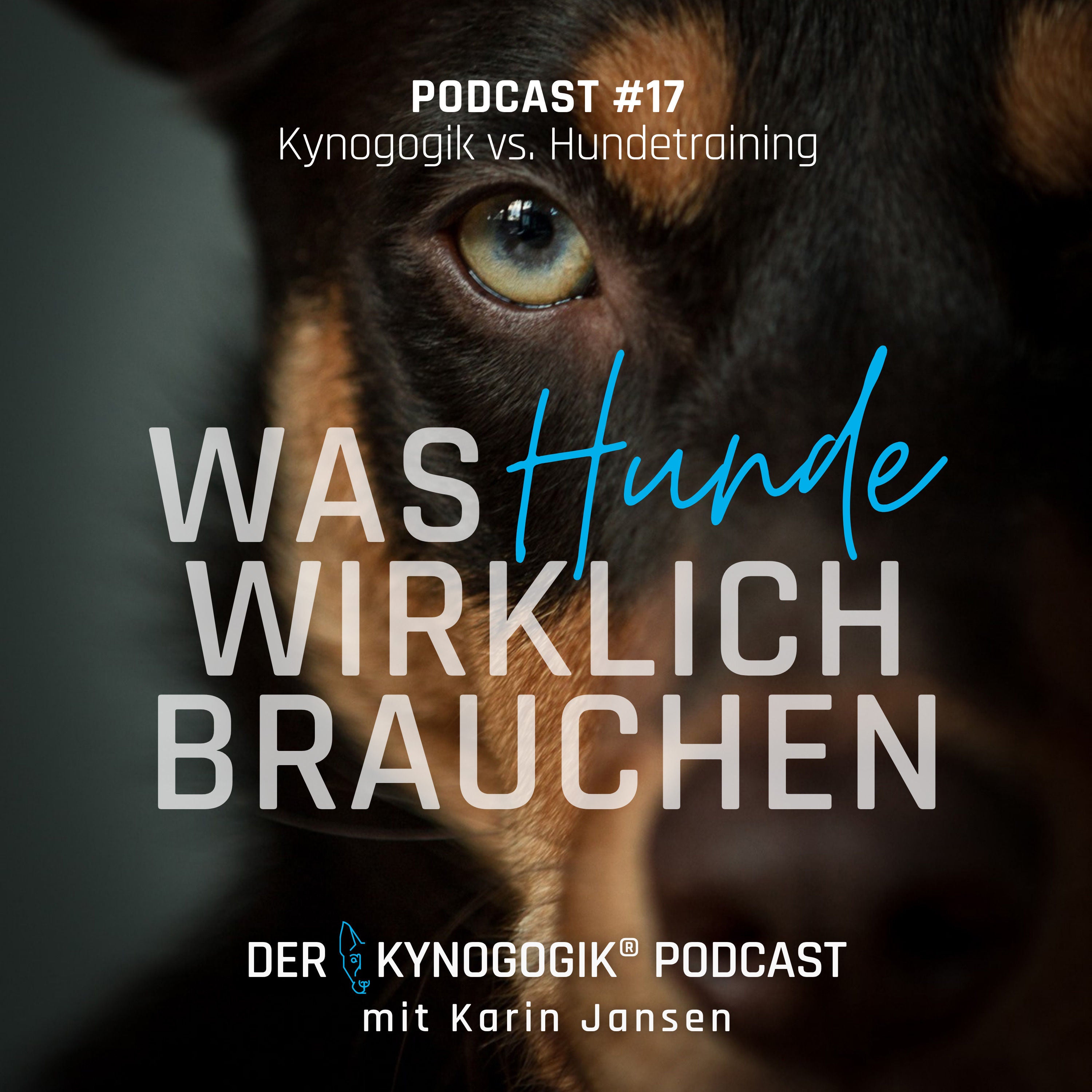 Kynogogik® vs. Hundetraining
